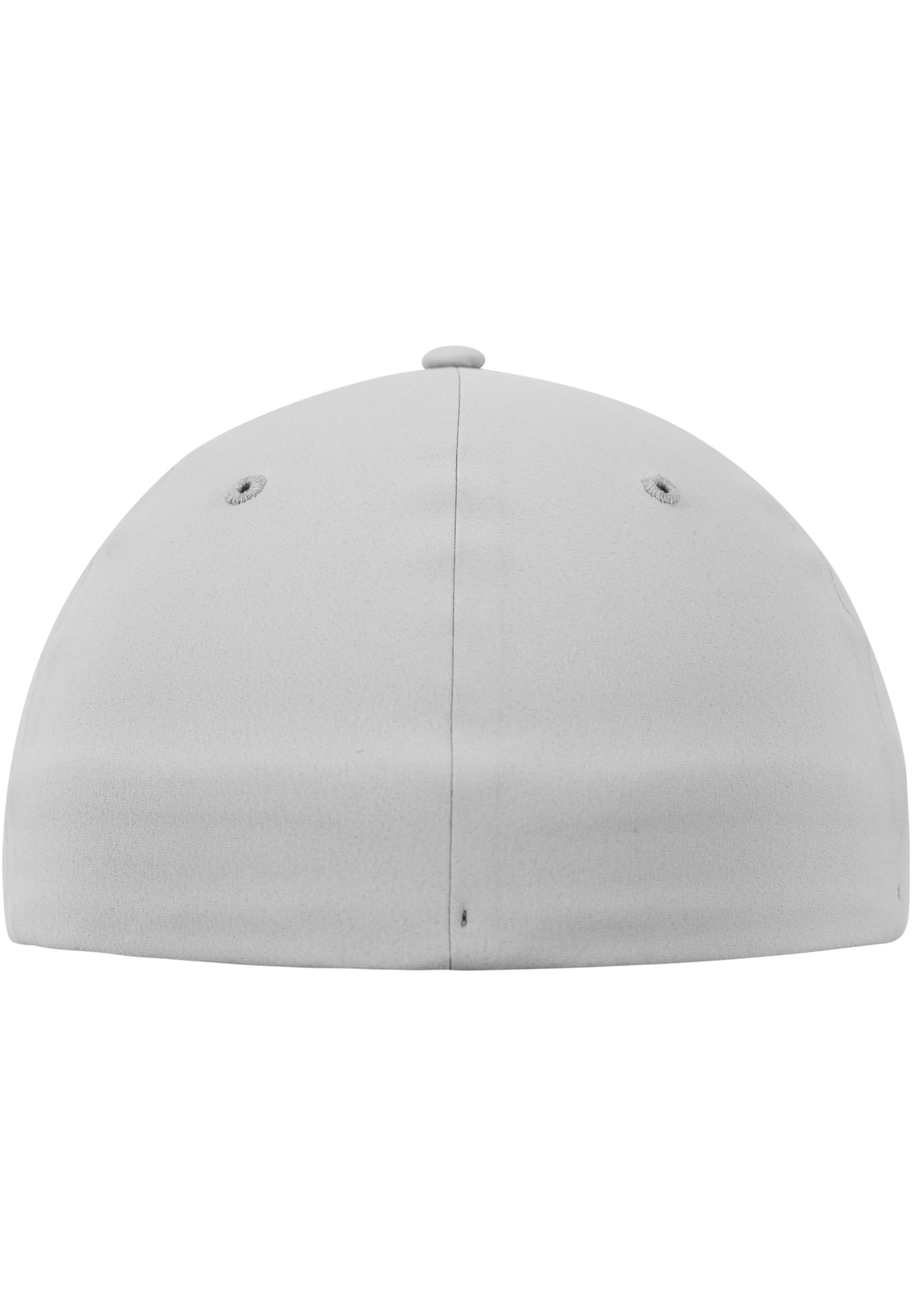 Flexfit Delta silver | silver