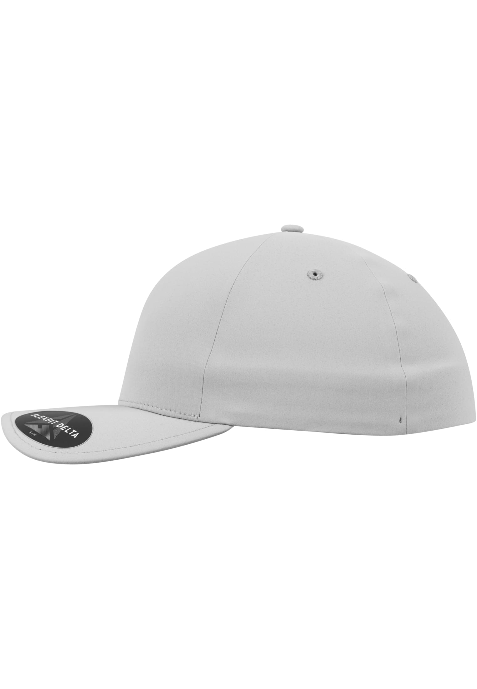 Flexfit Delta silver | silver