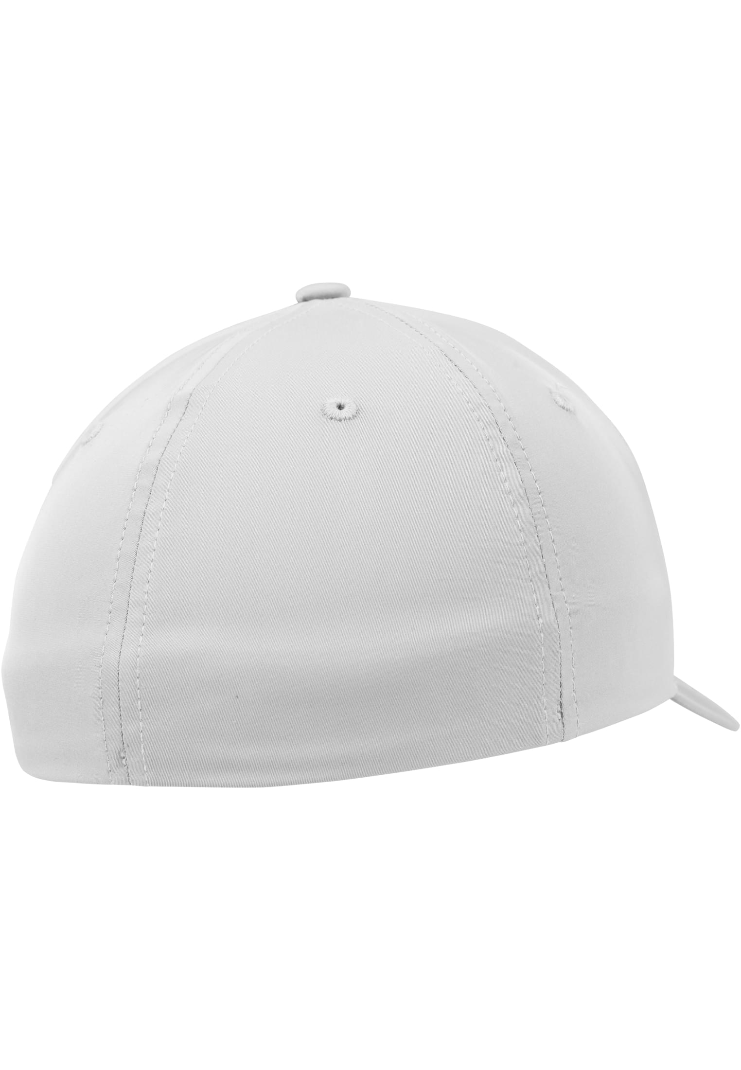 Tech Flexfit silver | silver