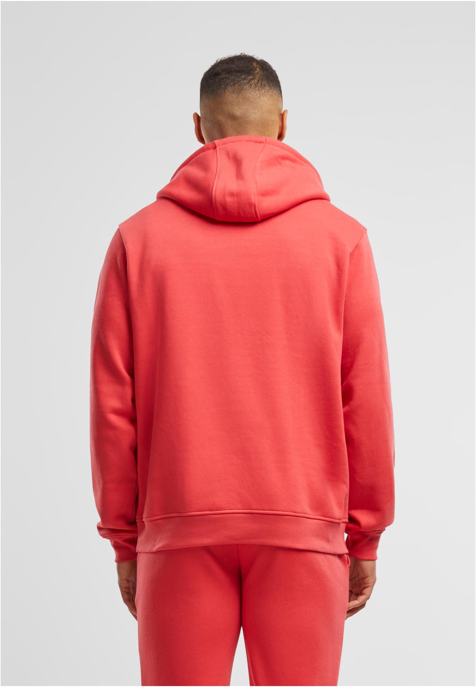 Basic Hoody cityred | cityred
