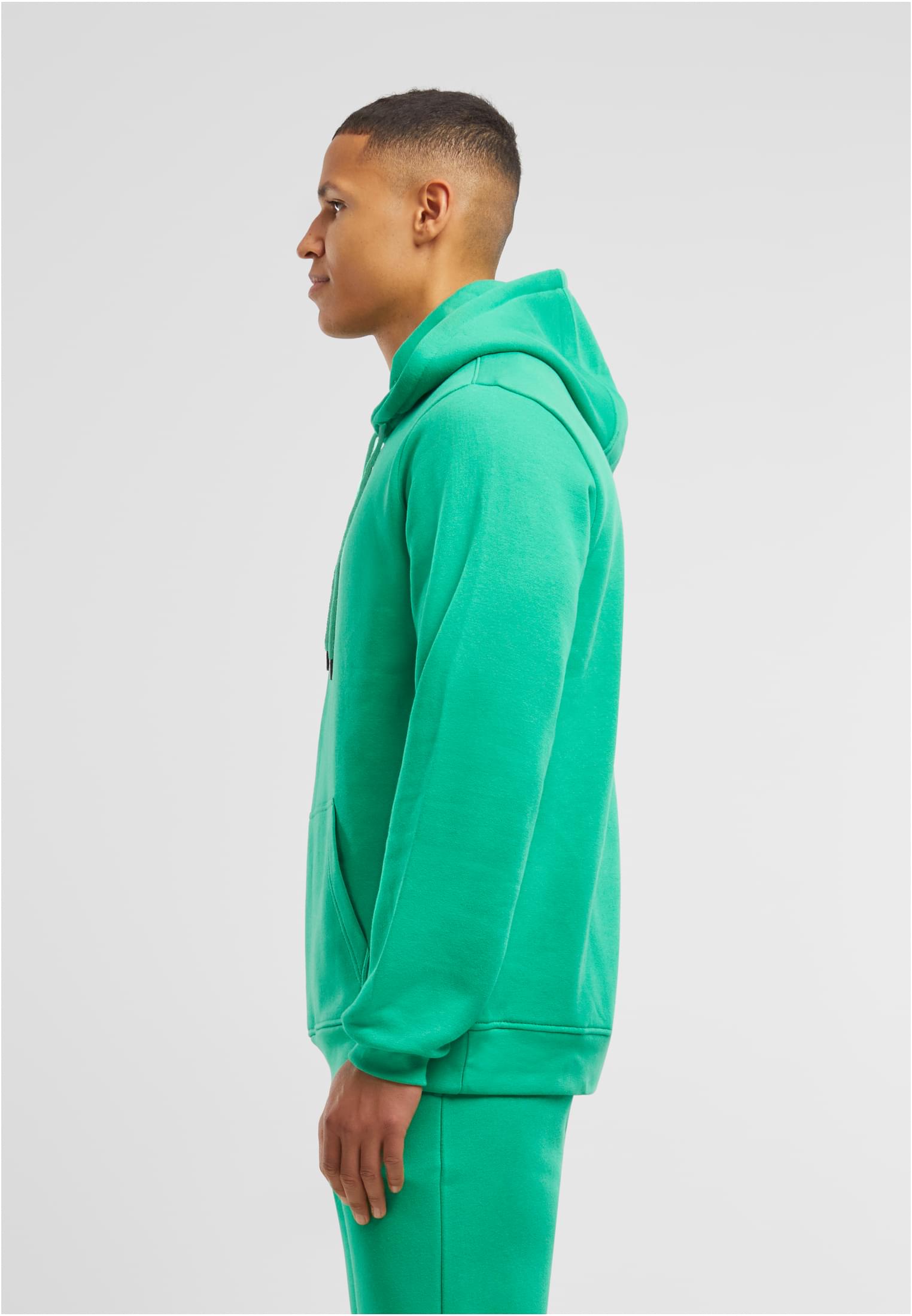 Basic Hoody grassgreen | grassgreen