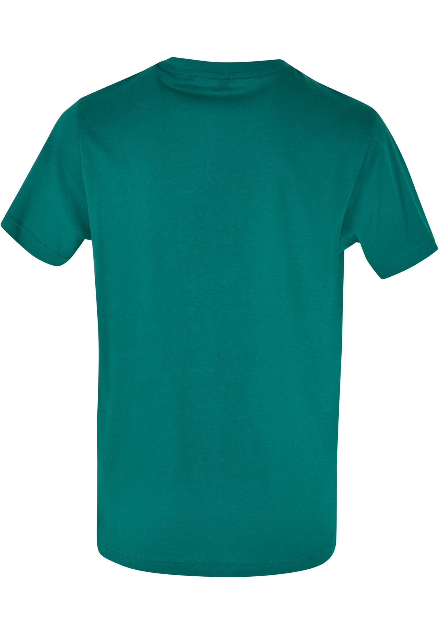 Basic Round Neck T-Shirt green | green