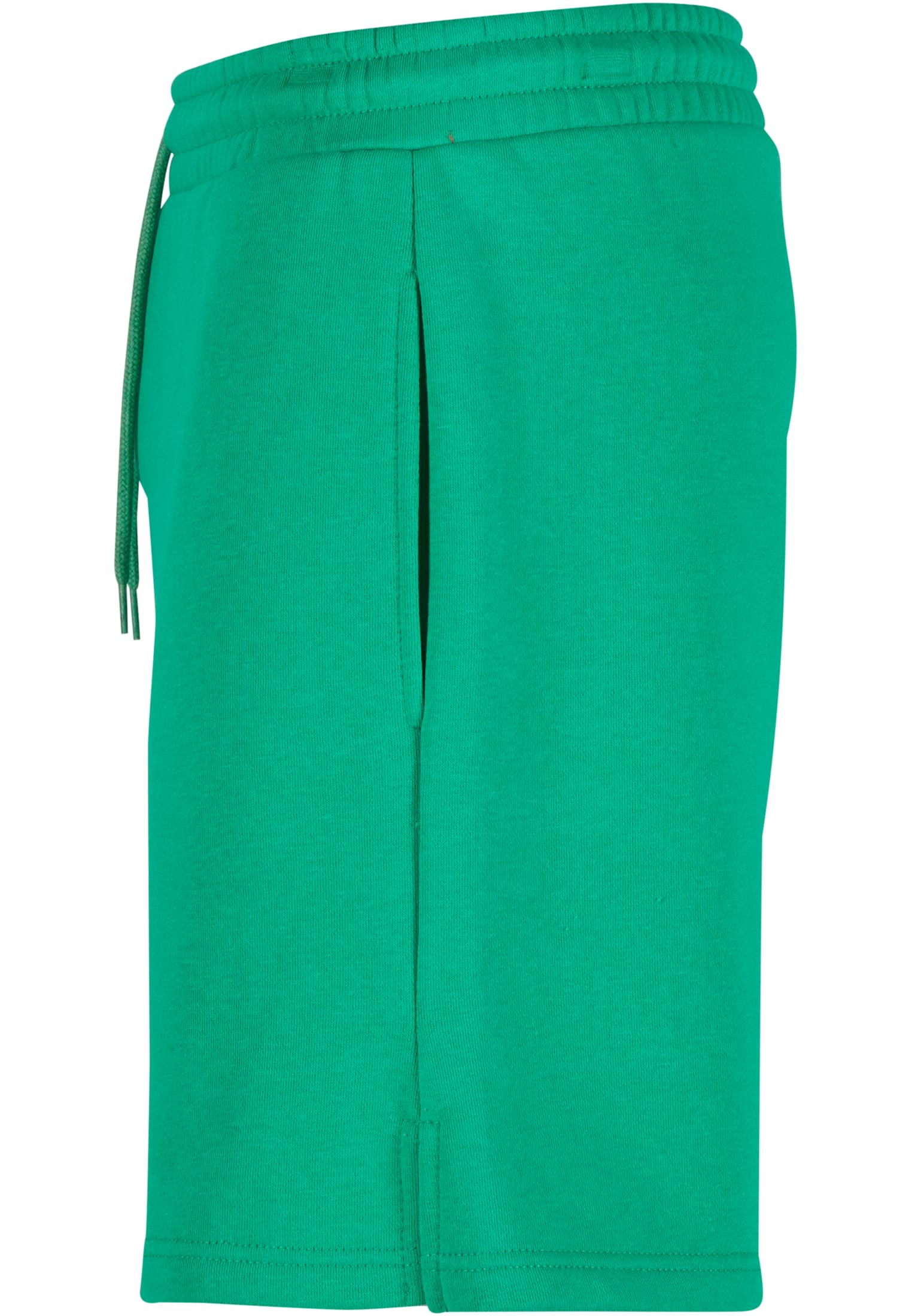 Ladies Basic Sweatshorts grassgreen | grassgreen