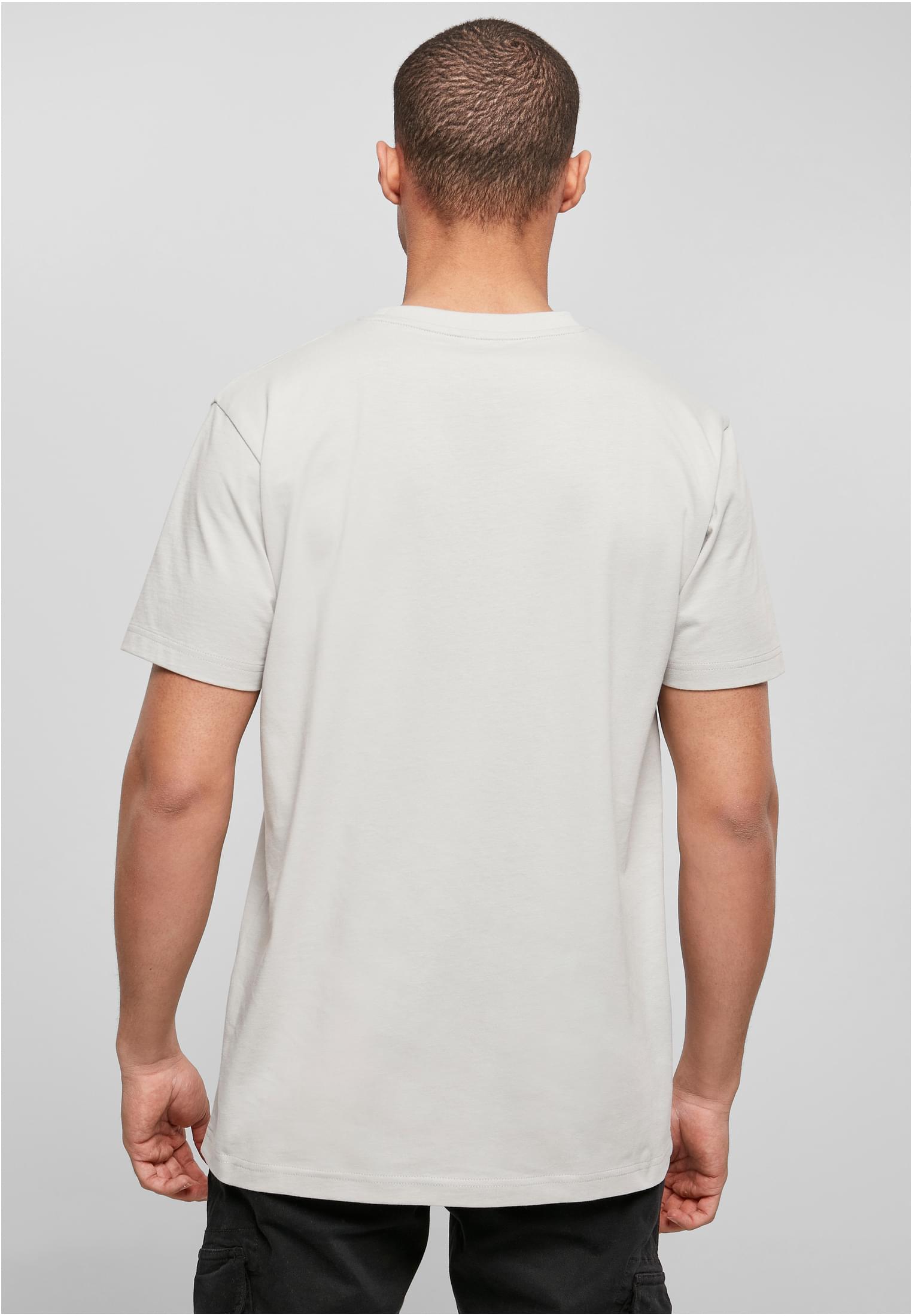 T-Shirt Round Neck lightasphalt | lightasphalt
