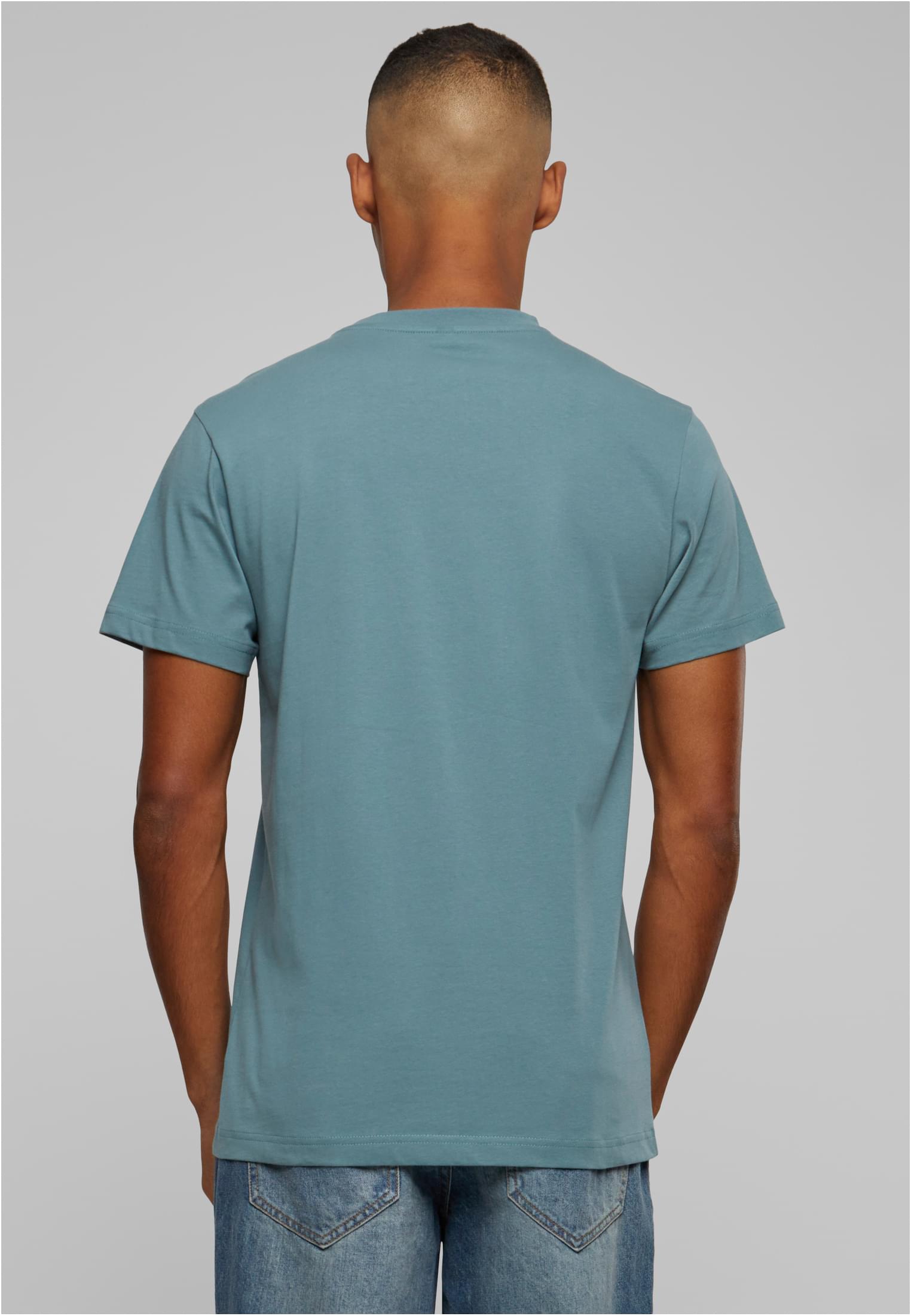 T-Shirt Round Neck dustyblue | dustyblue