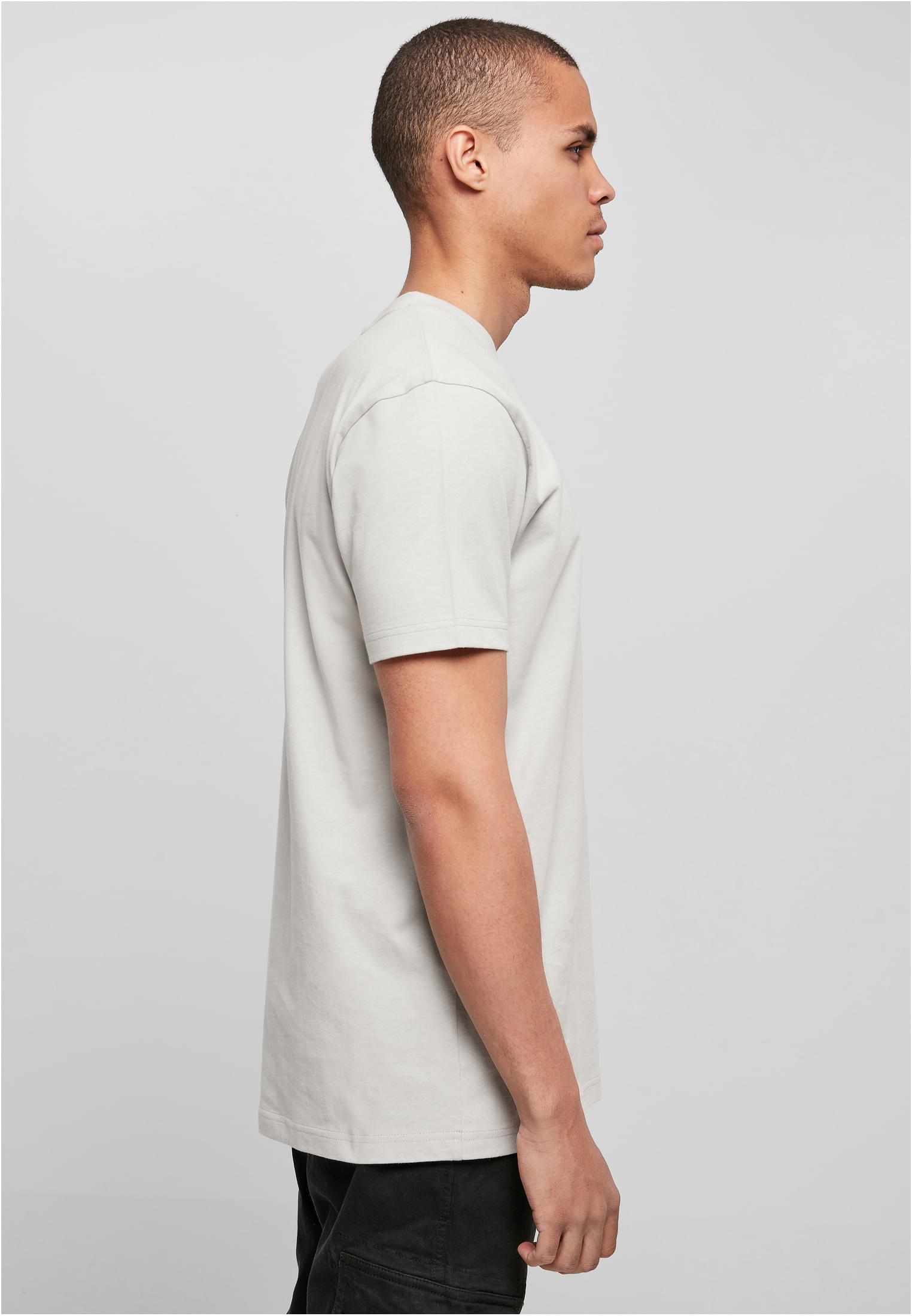 T-Shirt Round Neck lightasphalt | lightasphalt