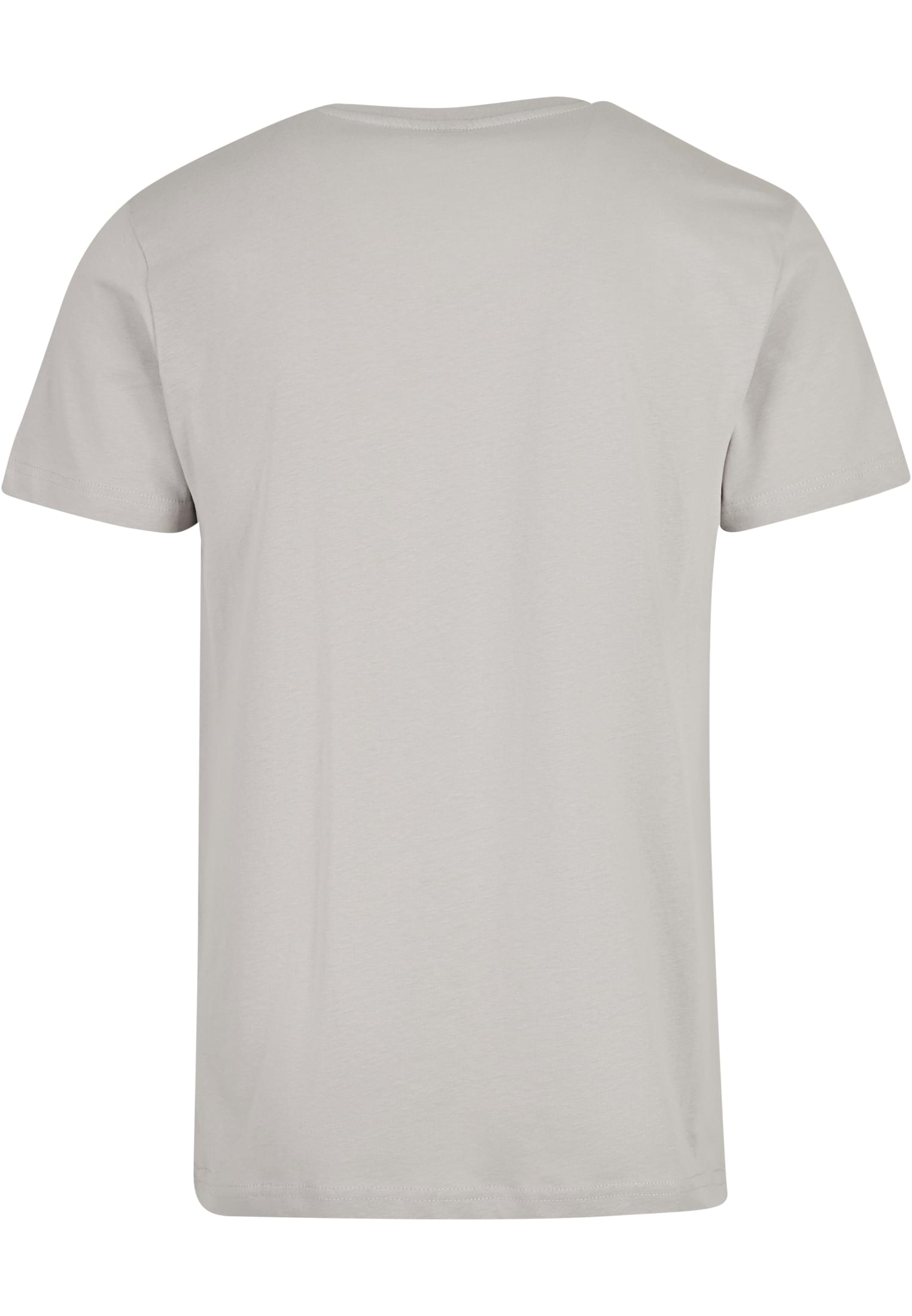 T-Shirt Round Neck lightasphalt | lightasphalt