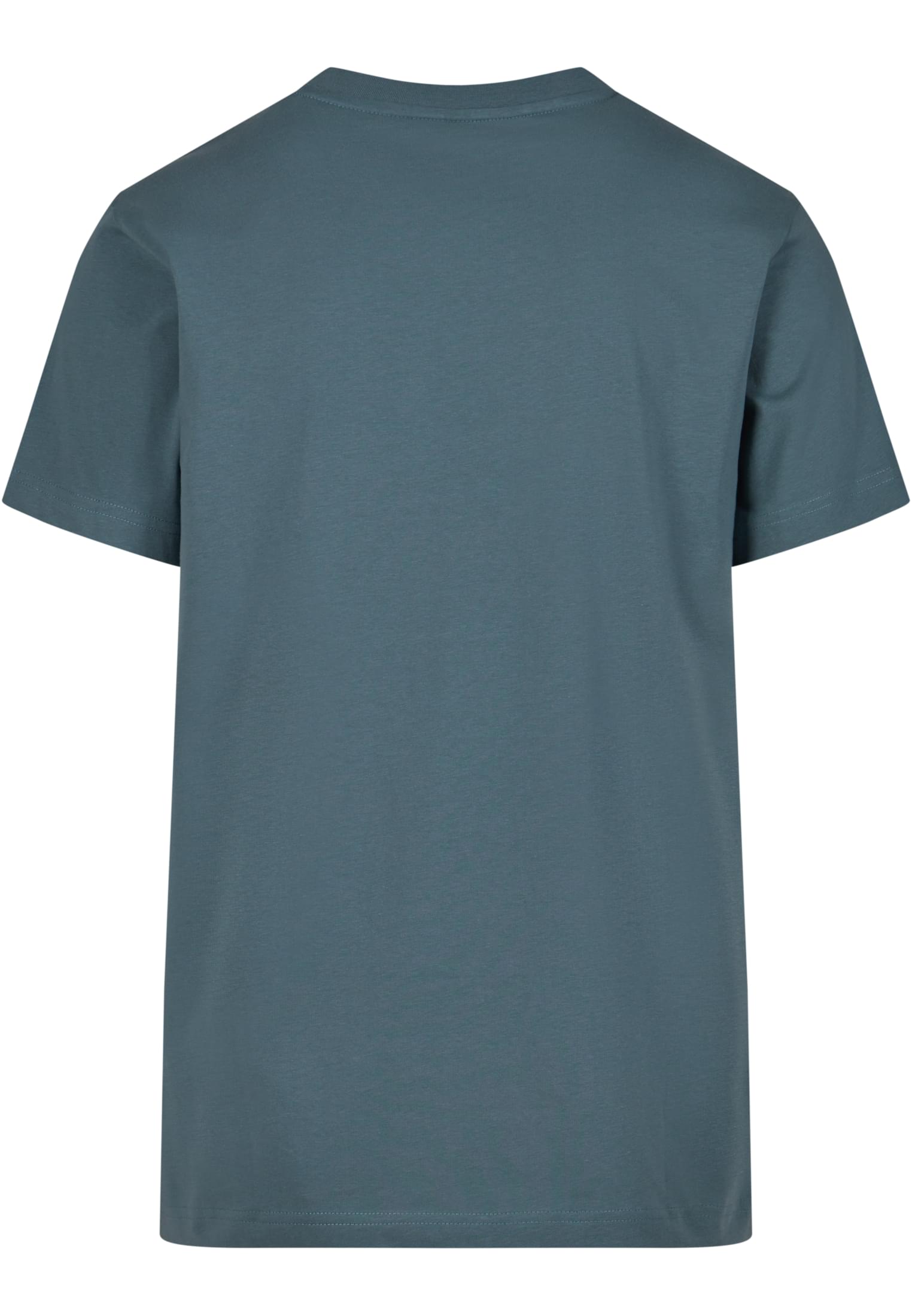 T-Shirt Round Neck dustyblue | dustyblue