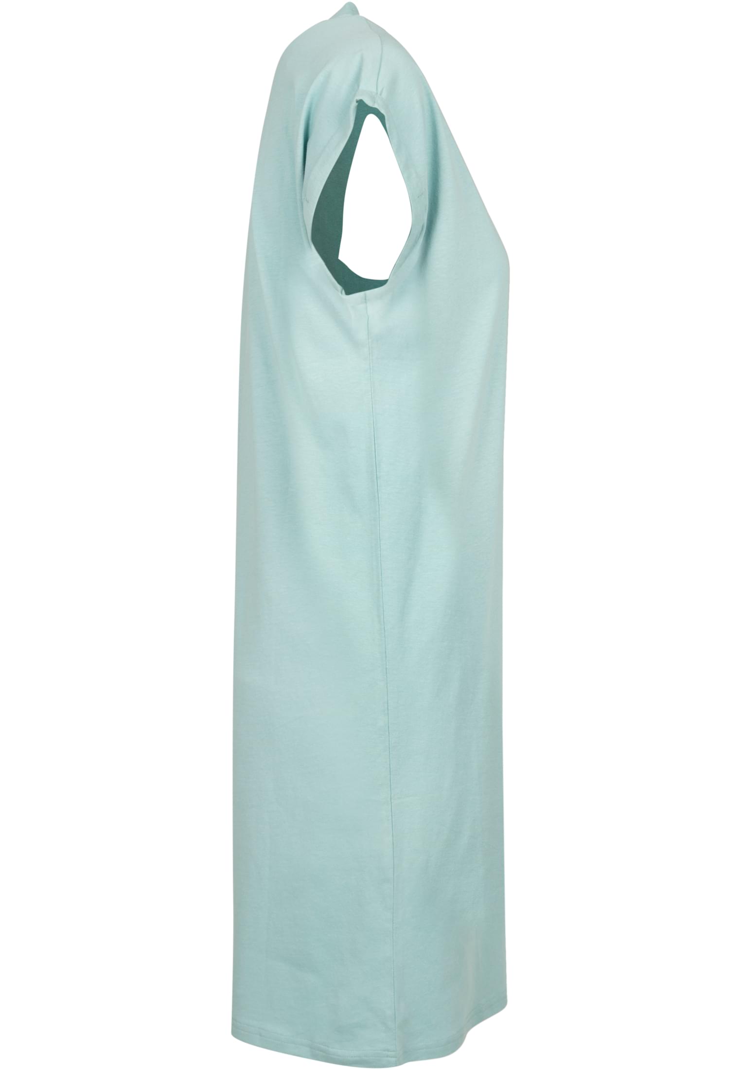Ladies Turtle Extended Shoulder Dress bluemint | bluemint