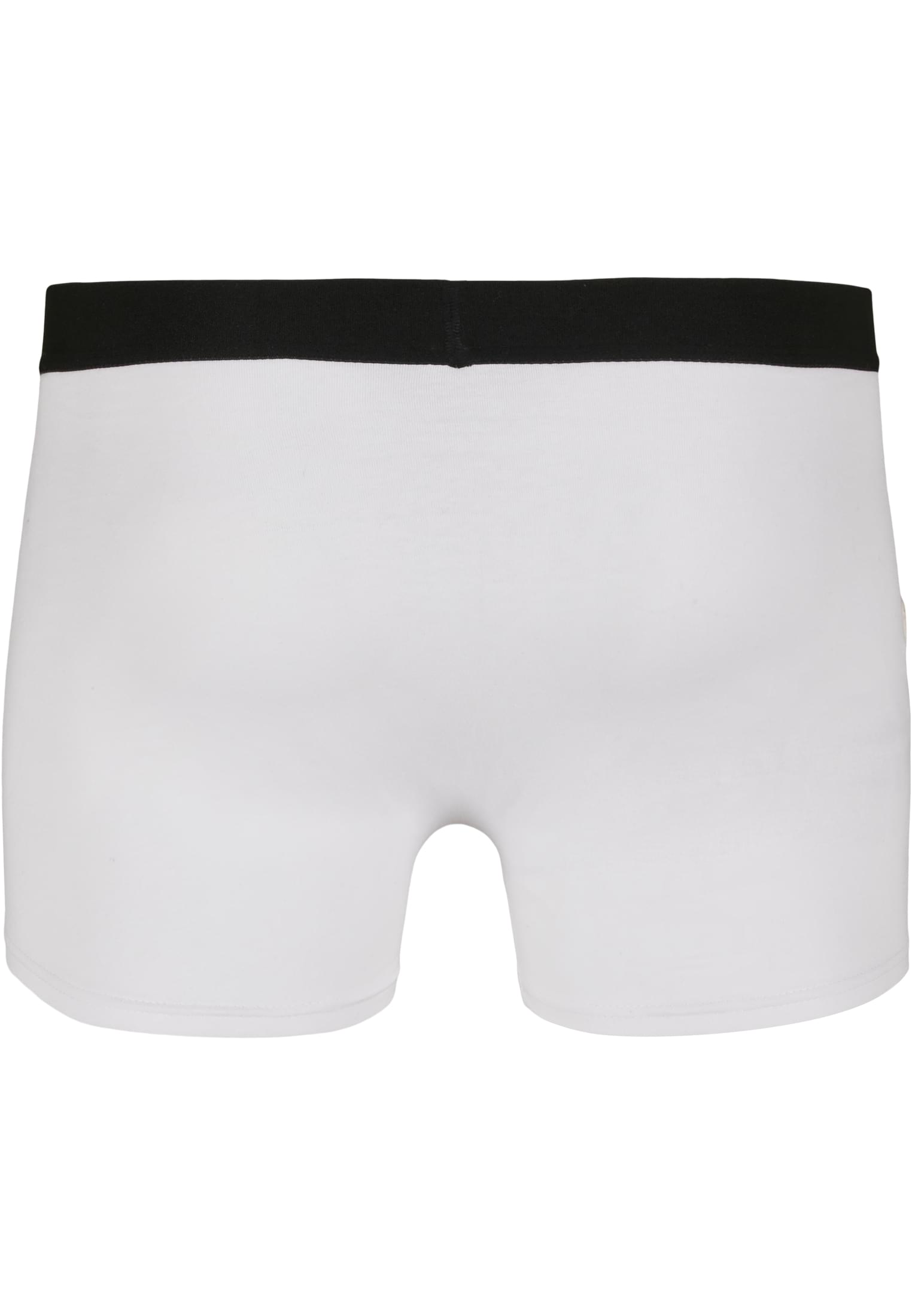 Men Boxer Shorts 2-Pack white | white