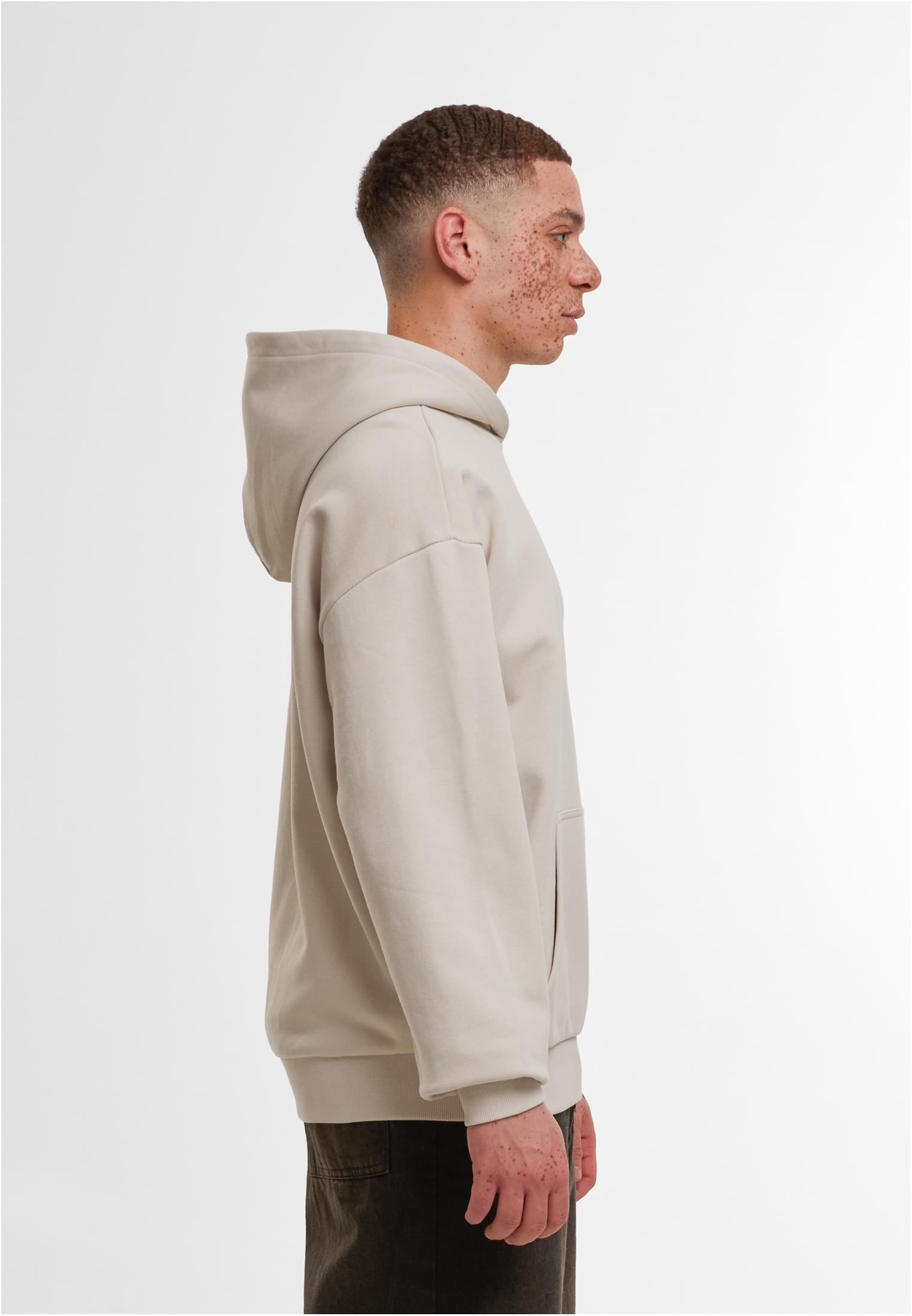 Ultra Heavy Cotton Box Hoody cloud | cloud
