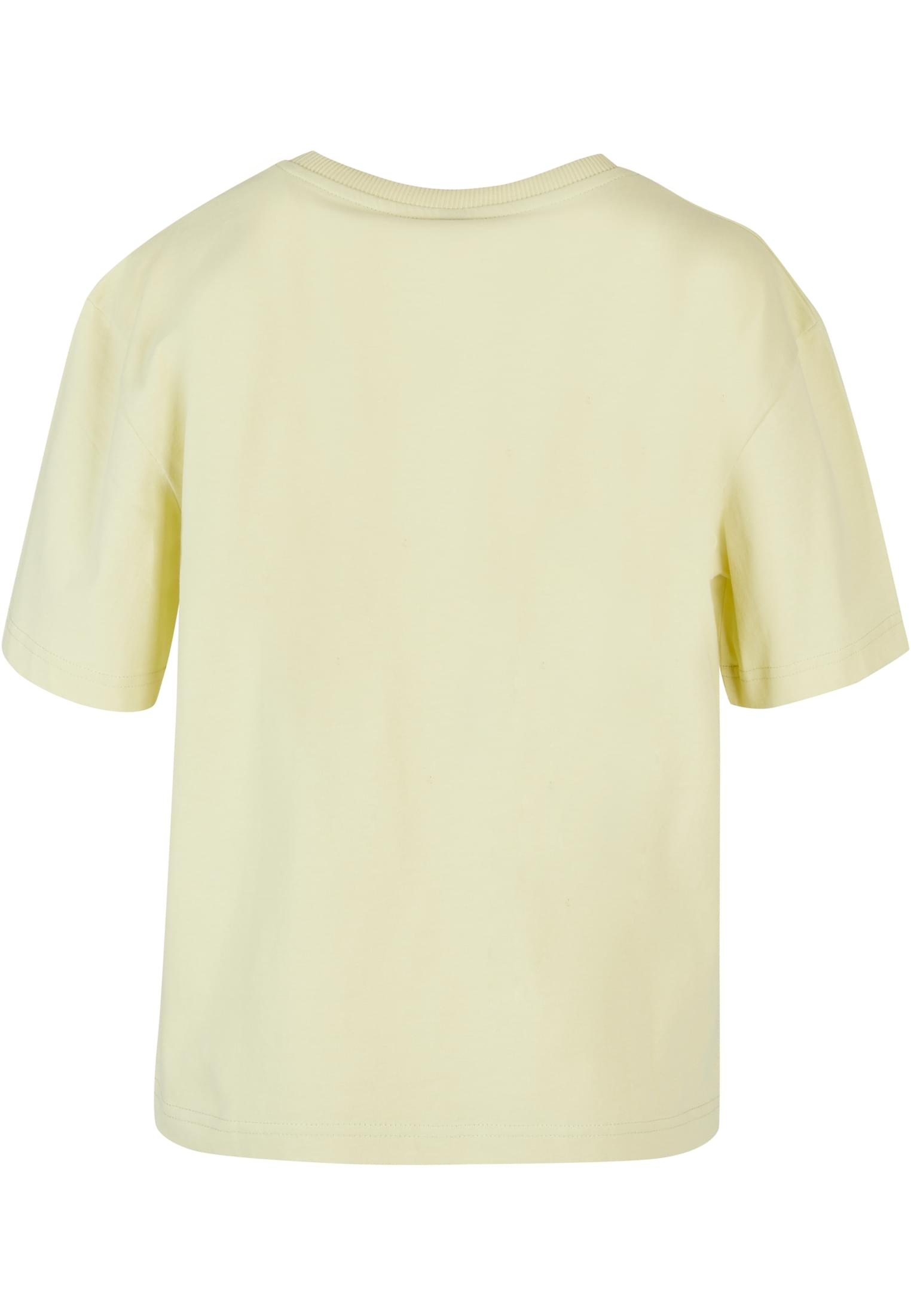 Ladies Everyday Tee softyellow | softyellow