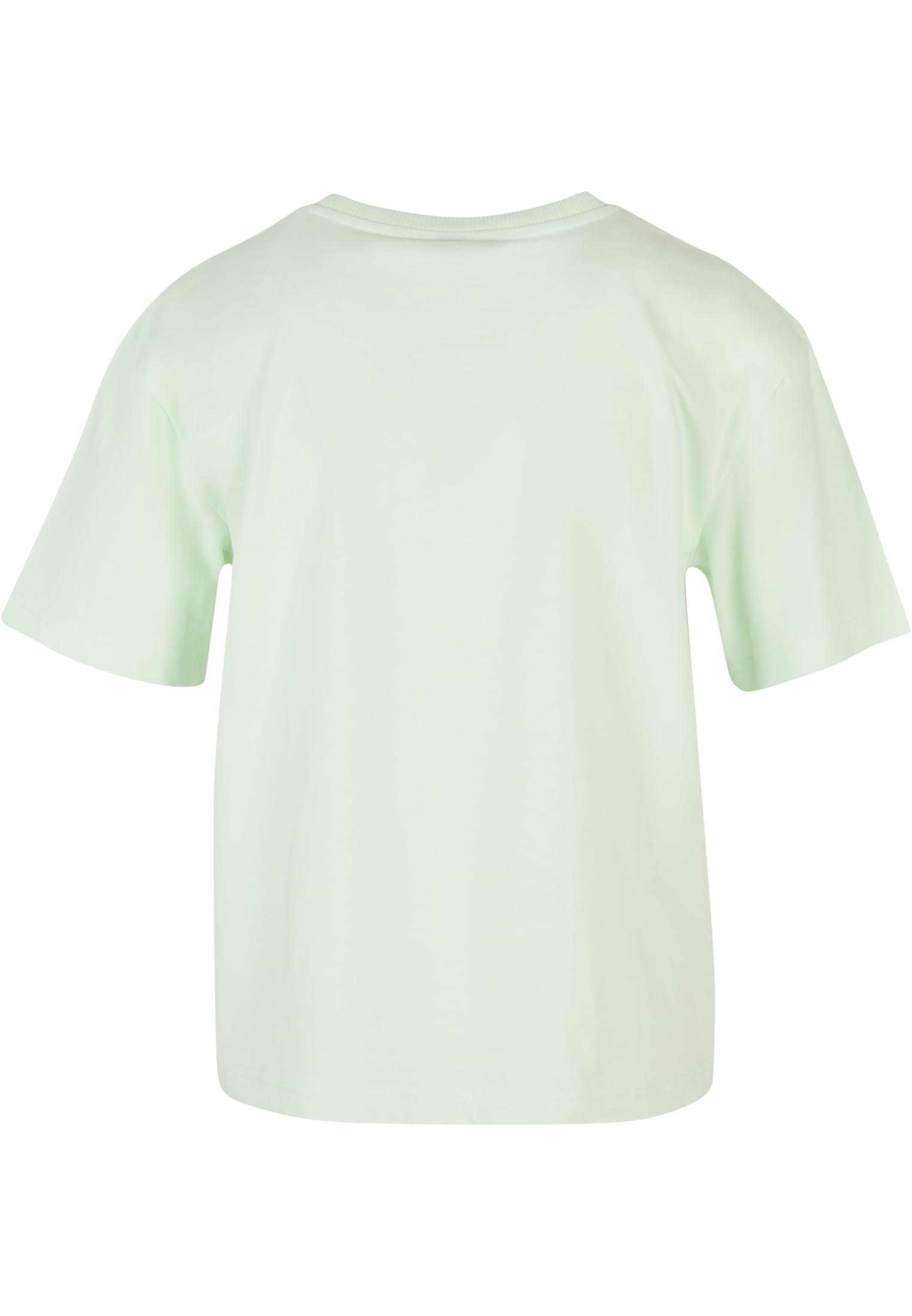 Ladies Everyday Tee lightmint | lightmint