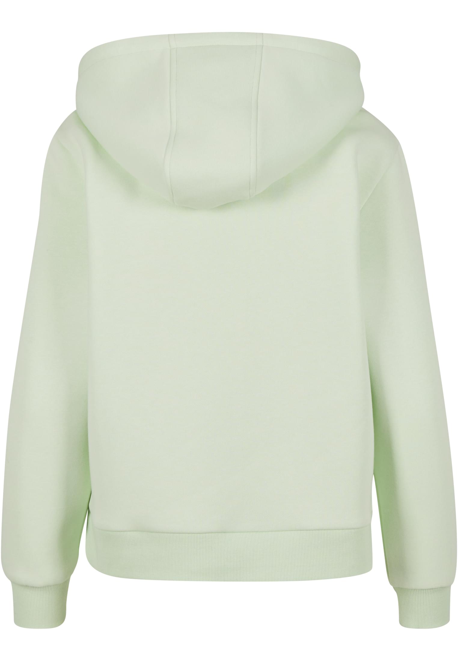Ladies Everyday Hoody lightmint | lightmint