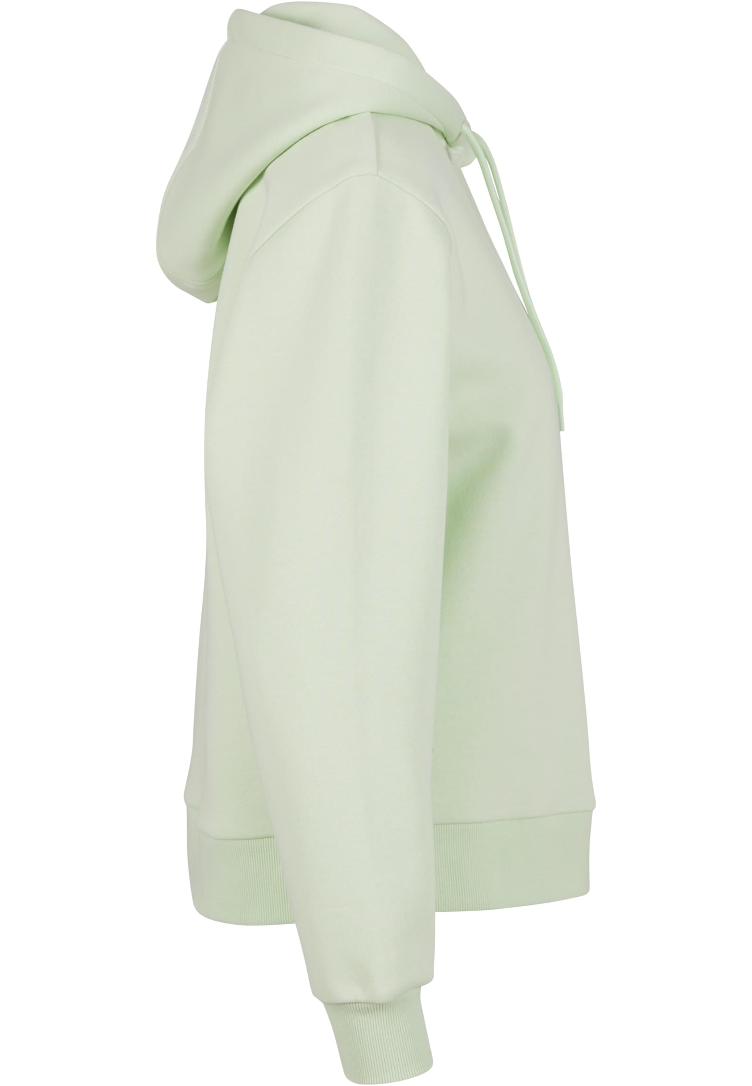 Ladies Everyday Hoody lightmint | lightmint
