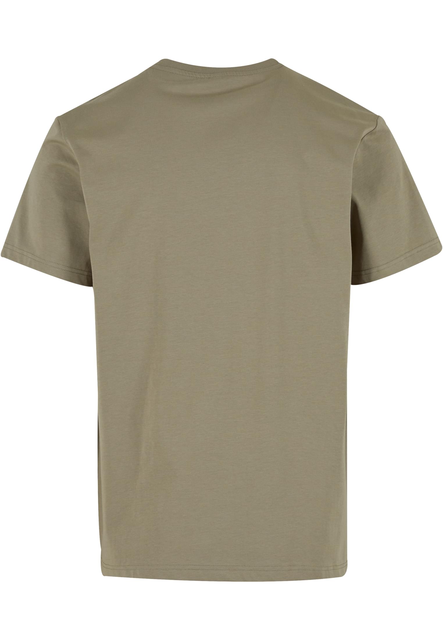 Sorona Regular Tee paleolive | paleolive