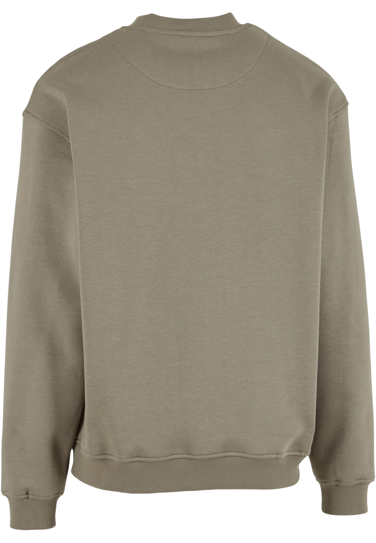 Loose Fit Sweatshirt paleolive | paleolive