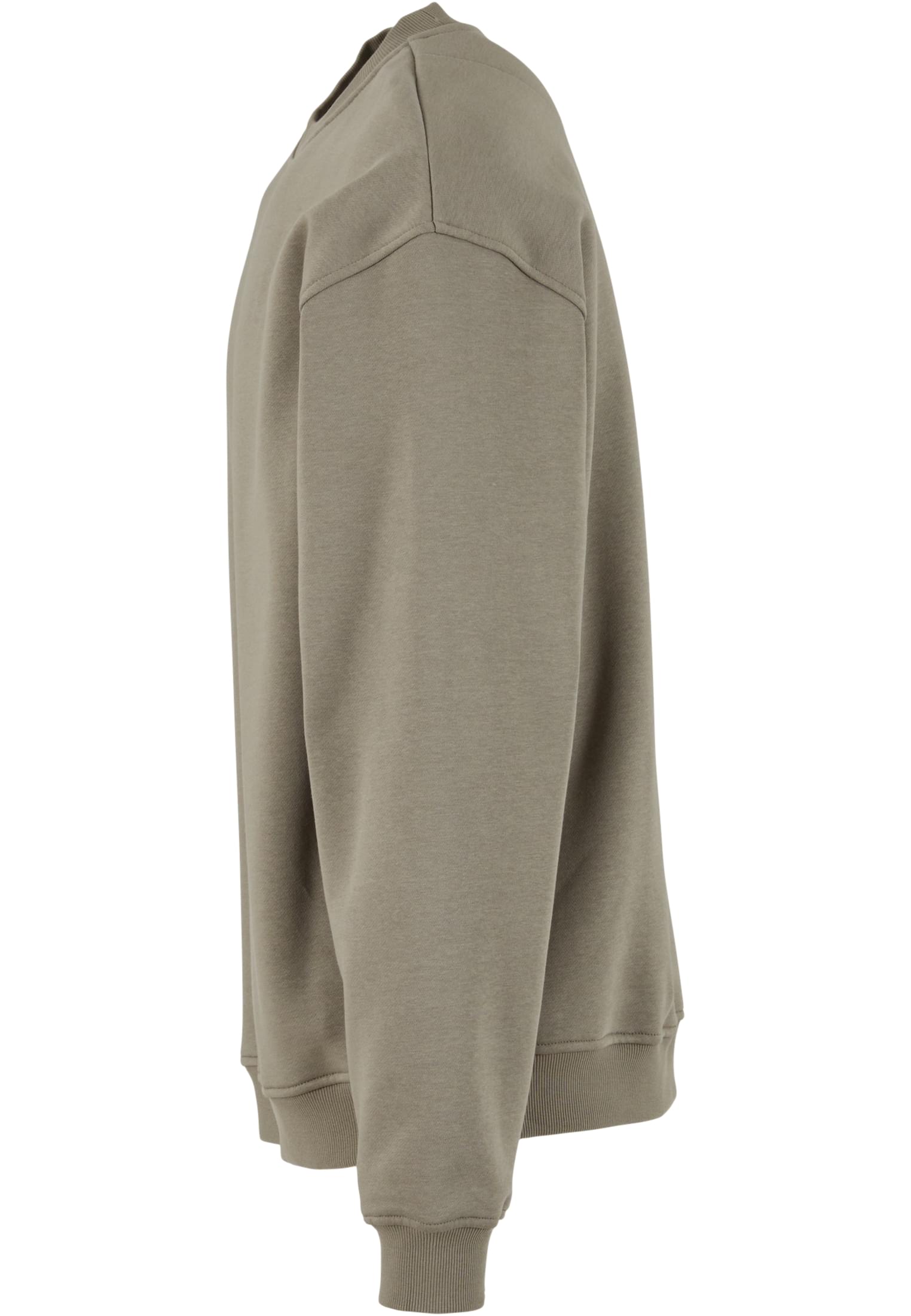 Loose Fit Sweatshirt paleolive | paleolive