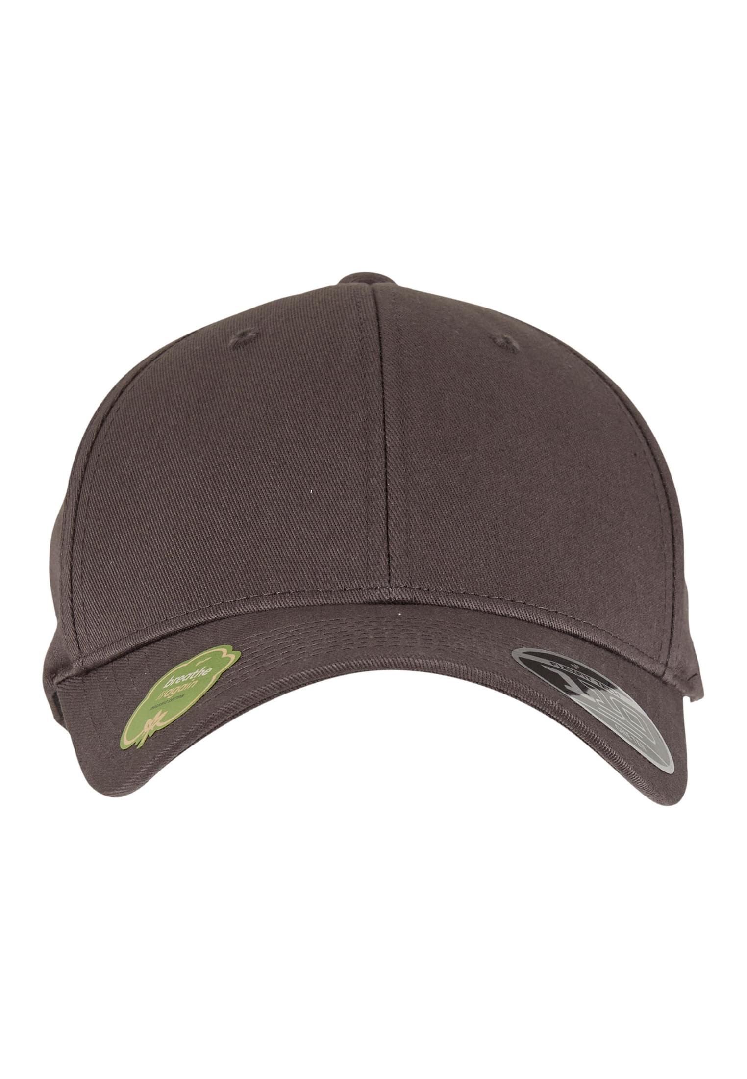 Flexfit 110 Organic Cap darkgrey | darkgrey