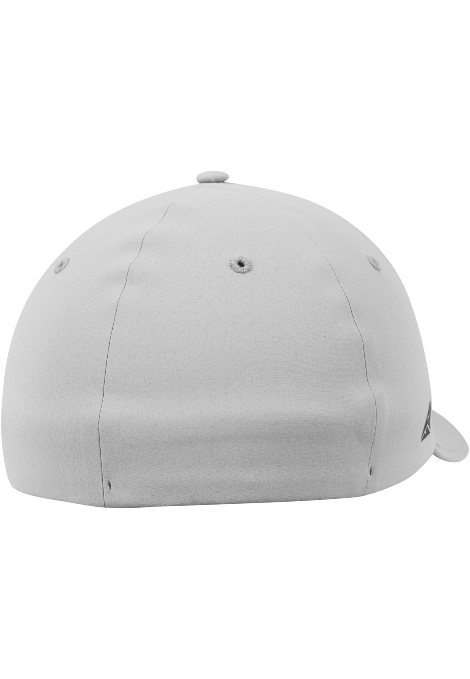 Flexfit Delta silver | silver