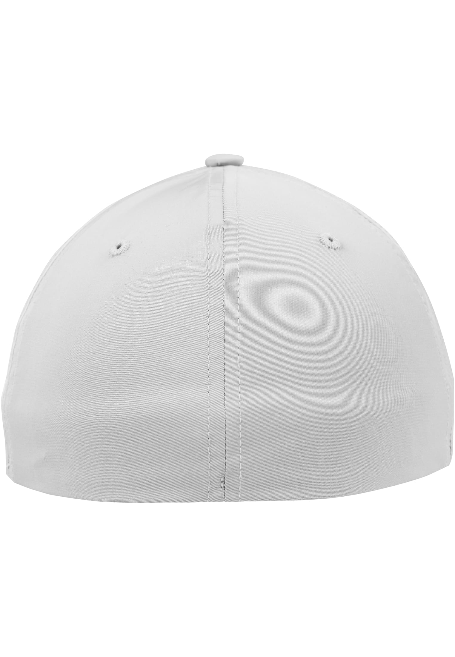 Tech Flexfit silver | silver