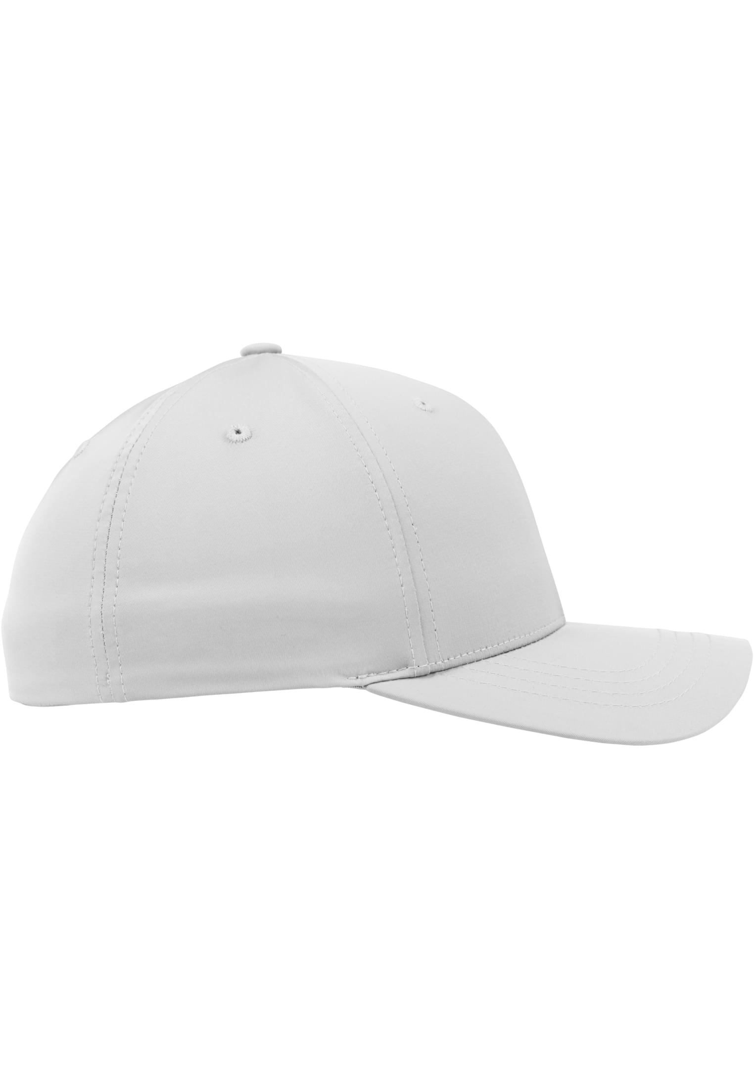 Tech Flexfit silver | silver