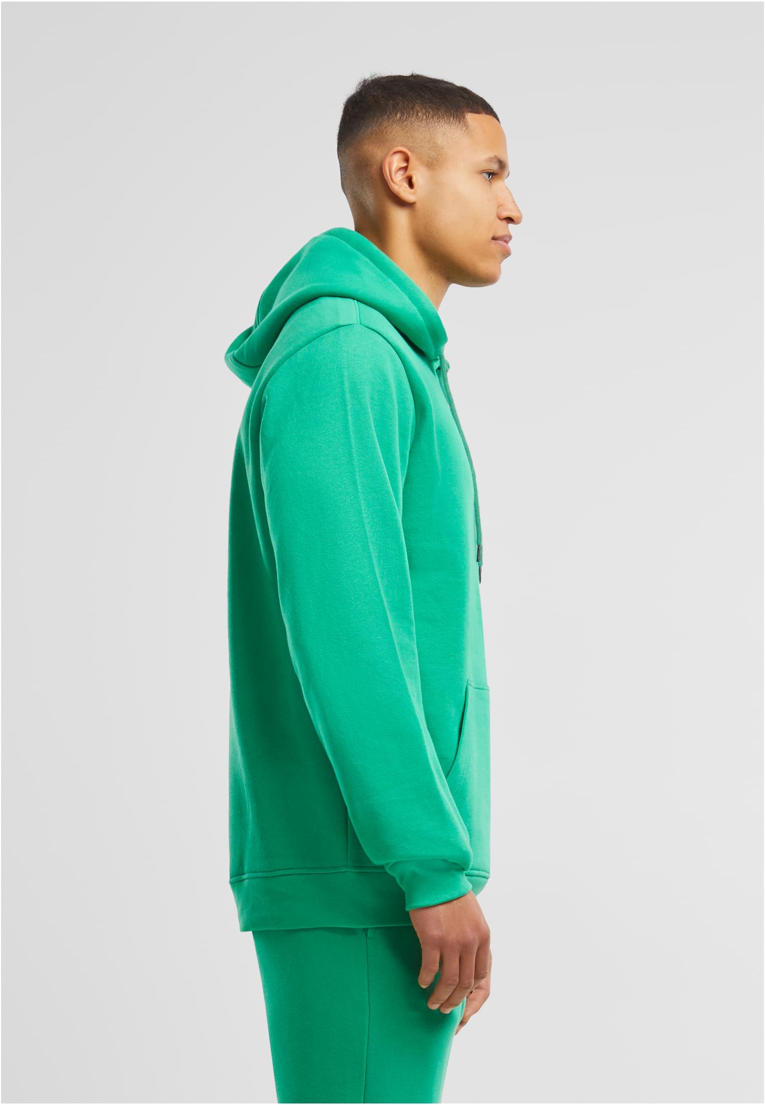 Basic Hoody grassgreen | grassgreen