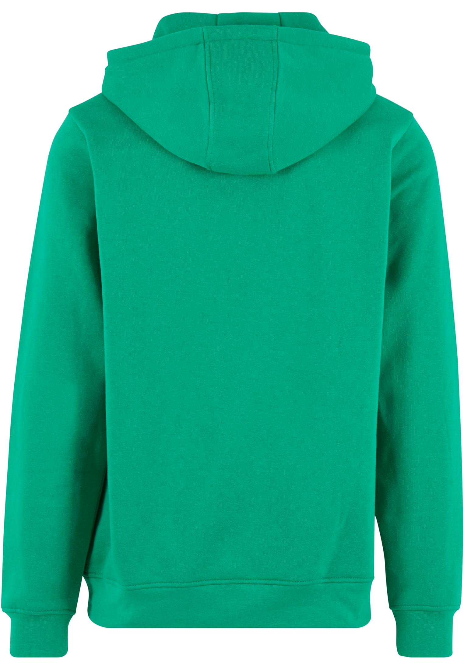 Basic Hoody grassgreen | grassgreen