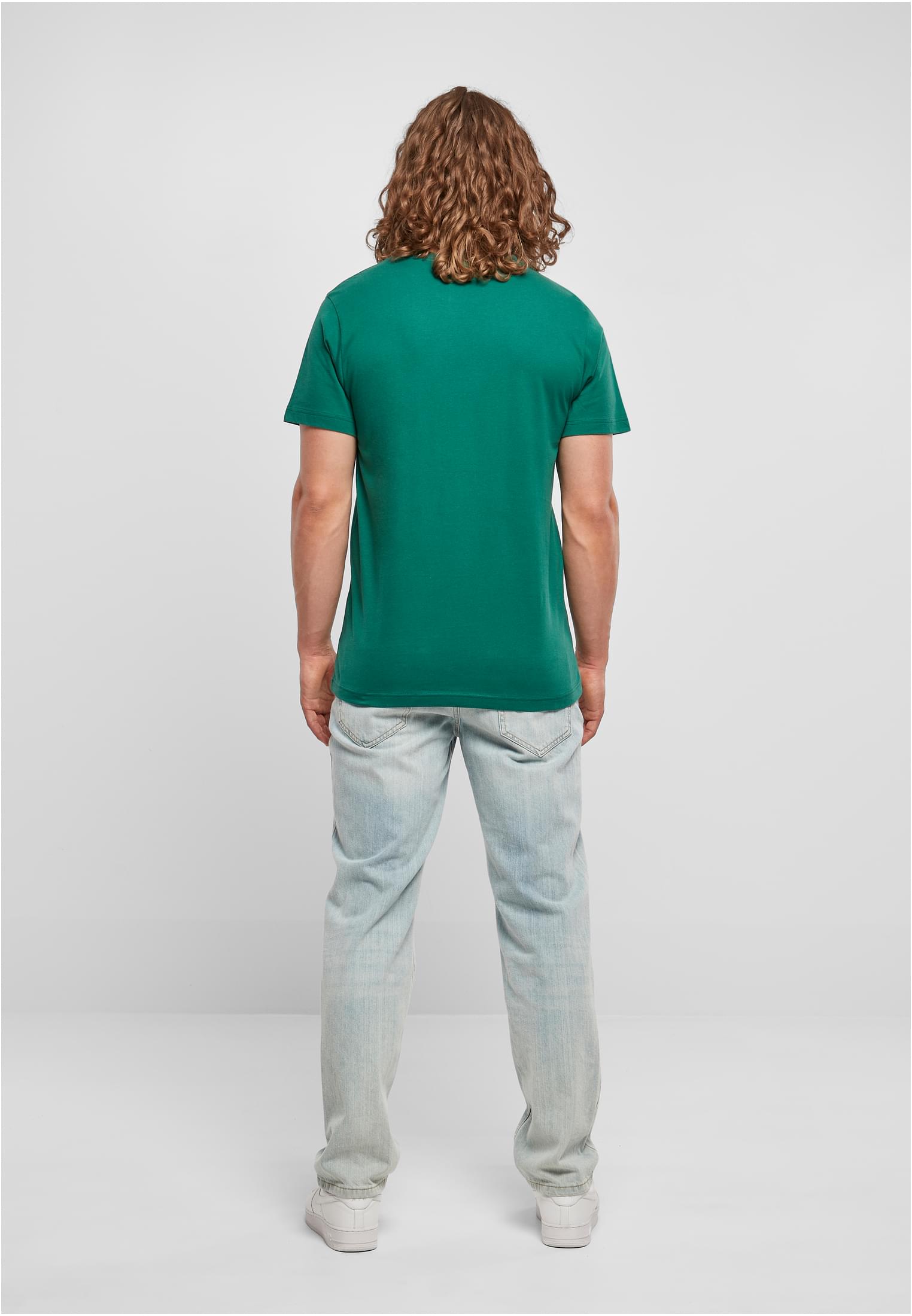 Basic Round Neck T-Shirt green | green