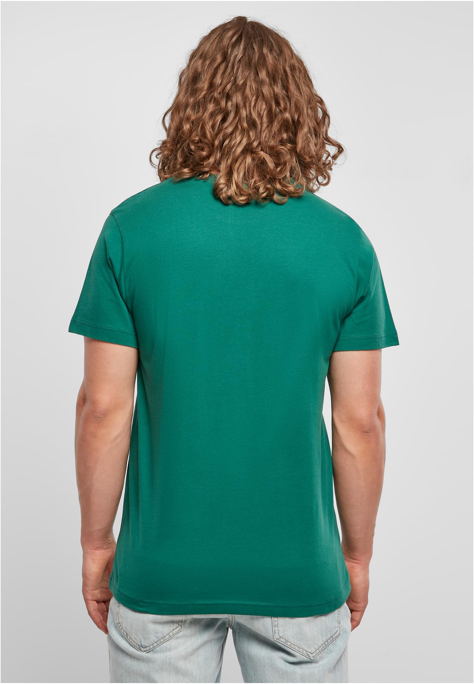 Basic Round Neck T-Shirt green | green