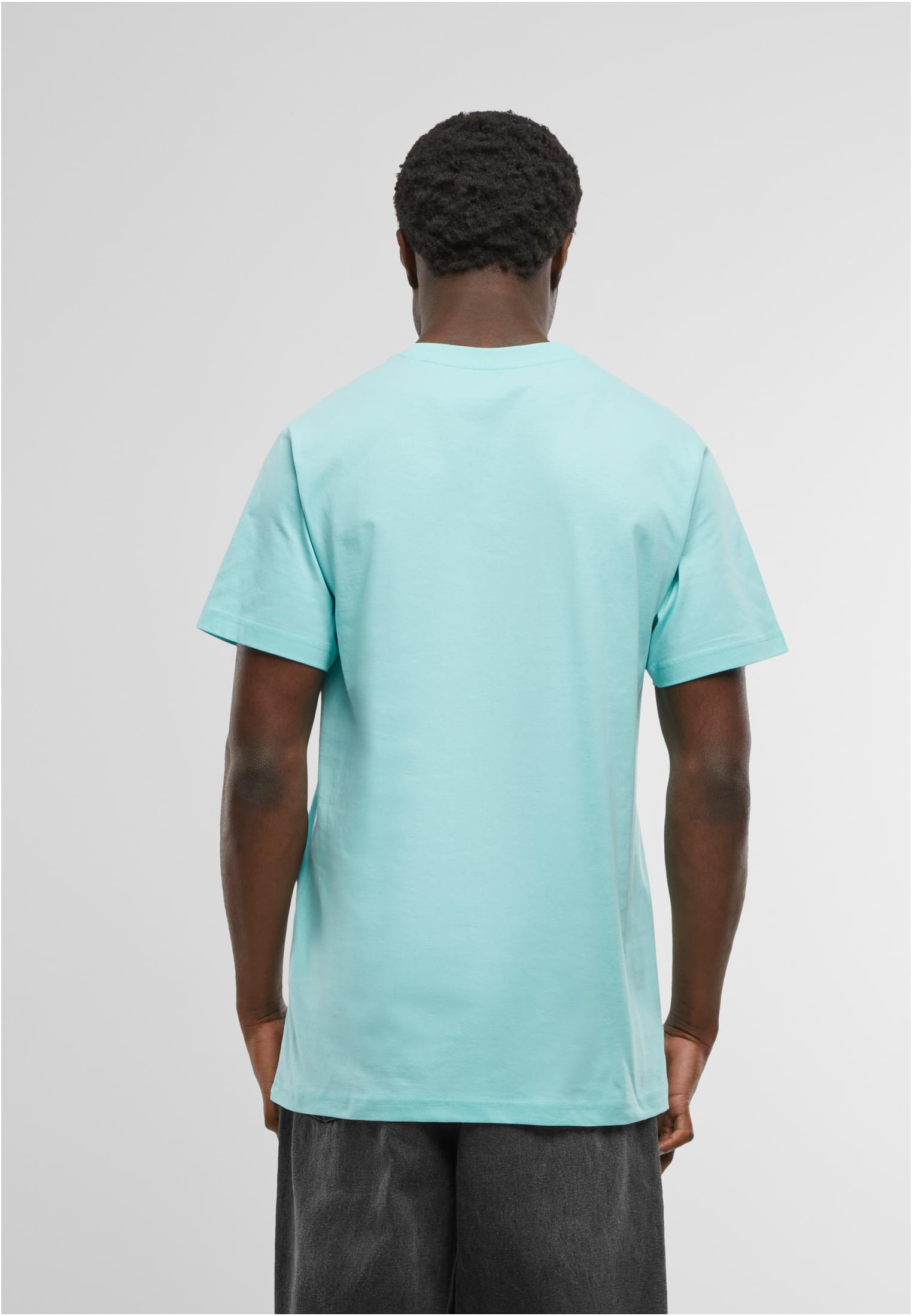 T-Shirt Round Neck berylblue | berylblue