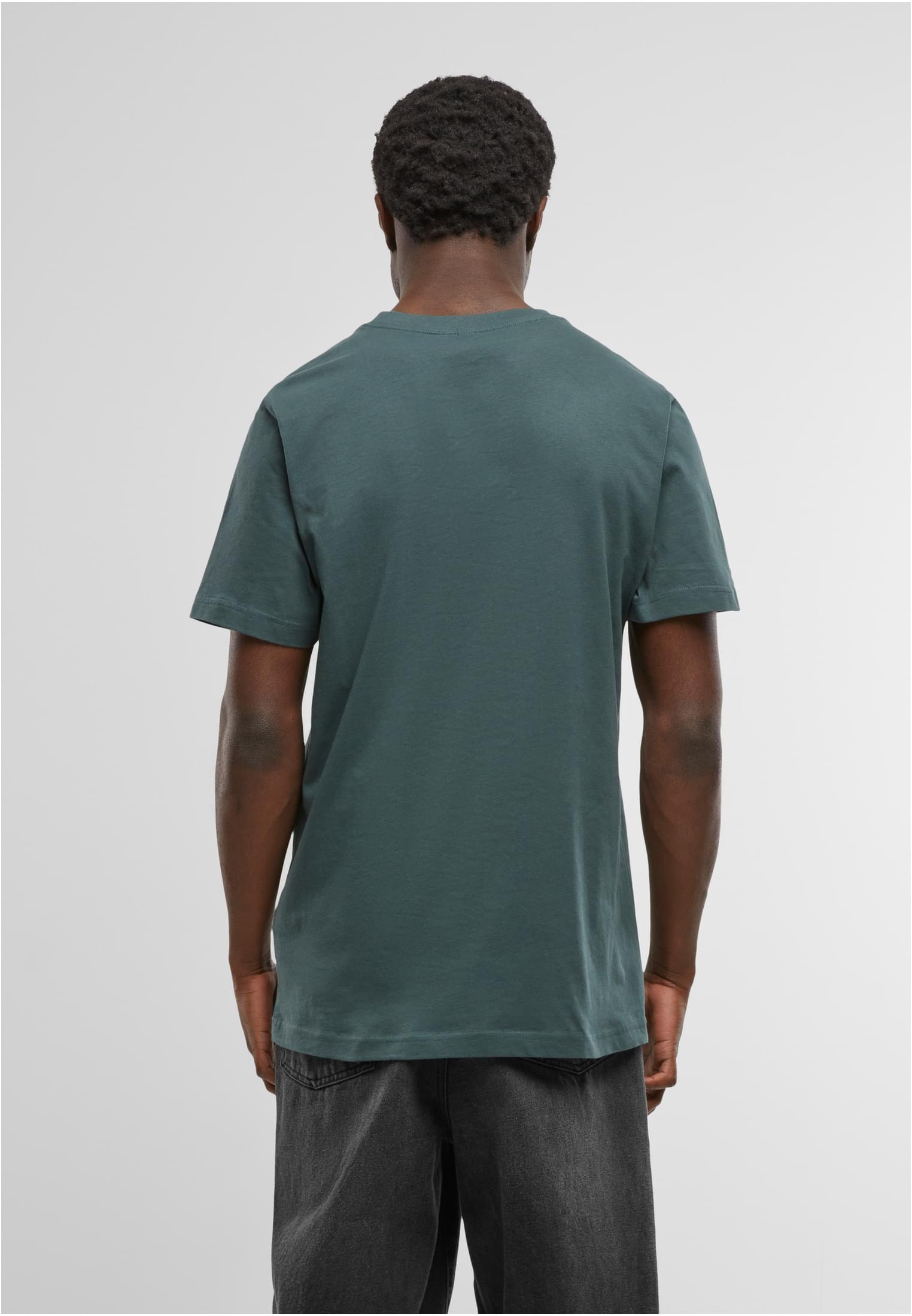 T-Shirt Round Neck ivygreen | ivygreen