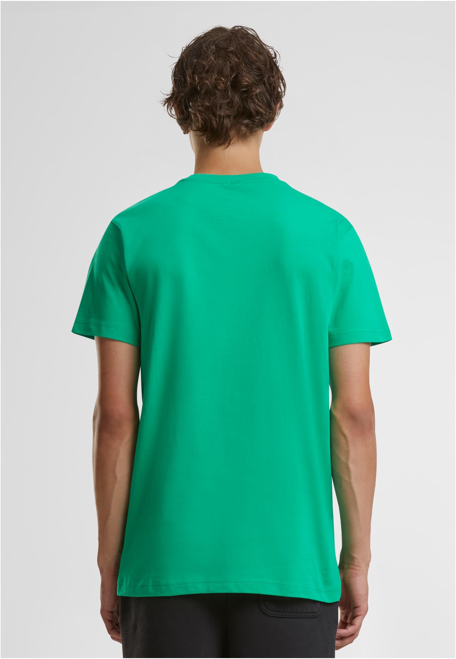 T-Shirt Round Neck grassgreen | grassgreen