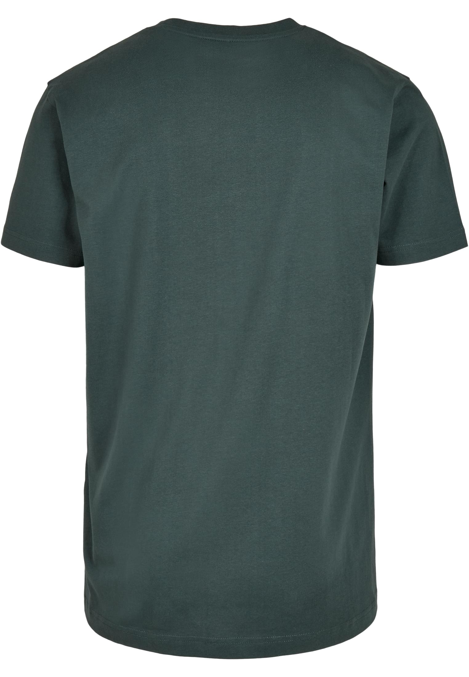T-Shirt Round Neck bottlegreen | bottlegreen