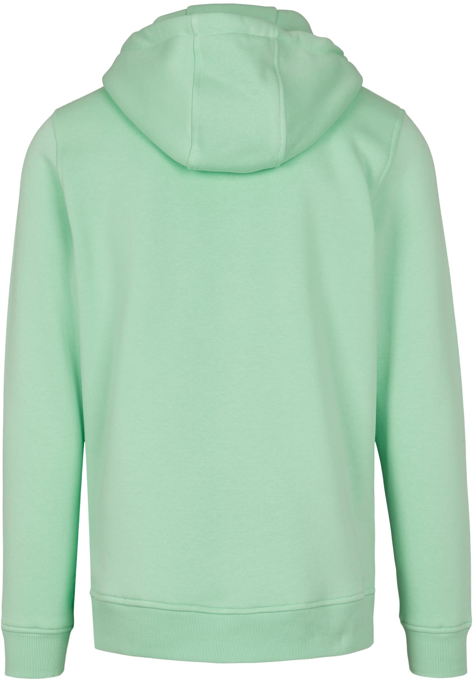 Heavy Hoody neo mint | neo mint