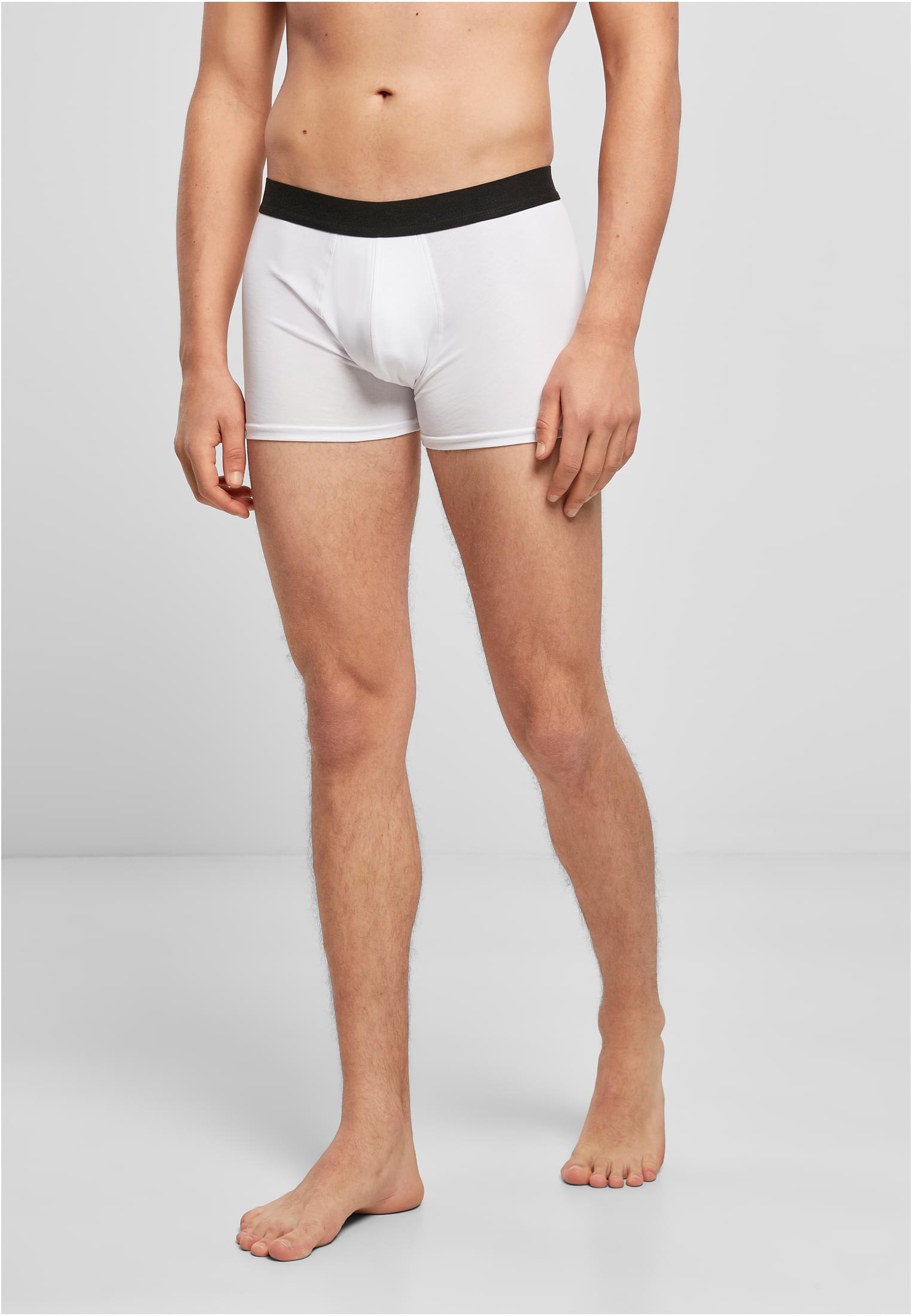 Men Boxer Shorts 2-Pack white | white