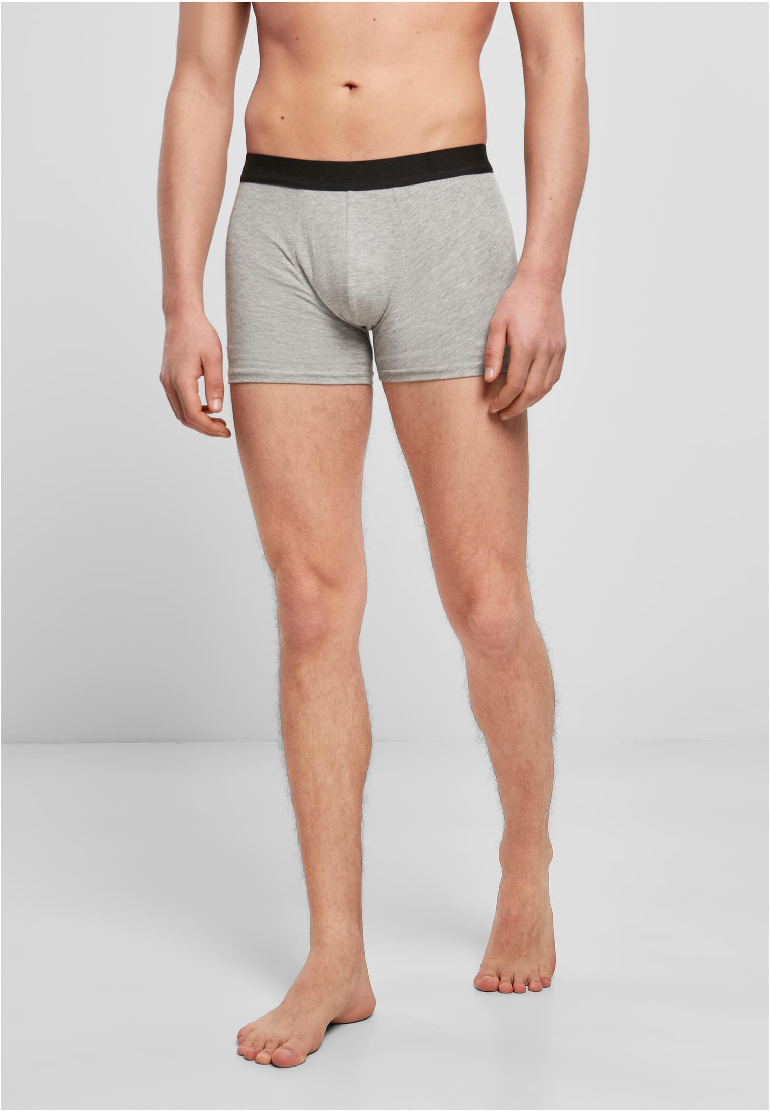 Men Boxer Shorts 2-Pack heather grey | heather grey