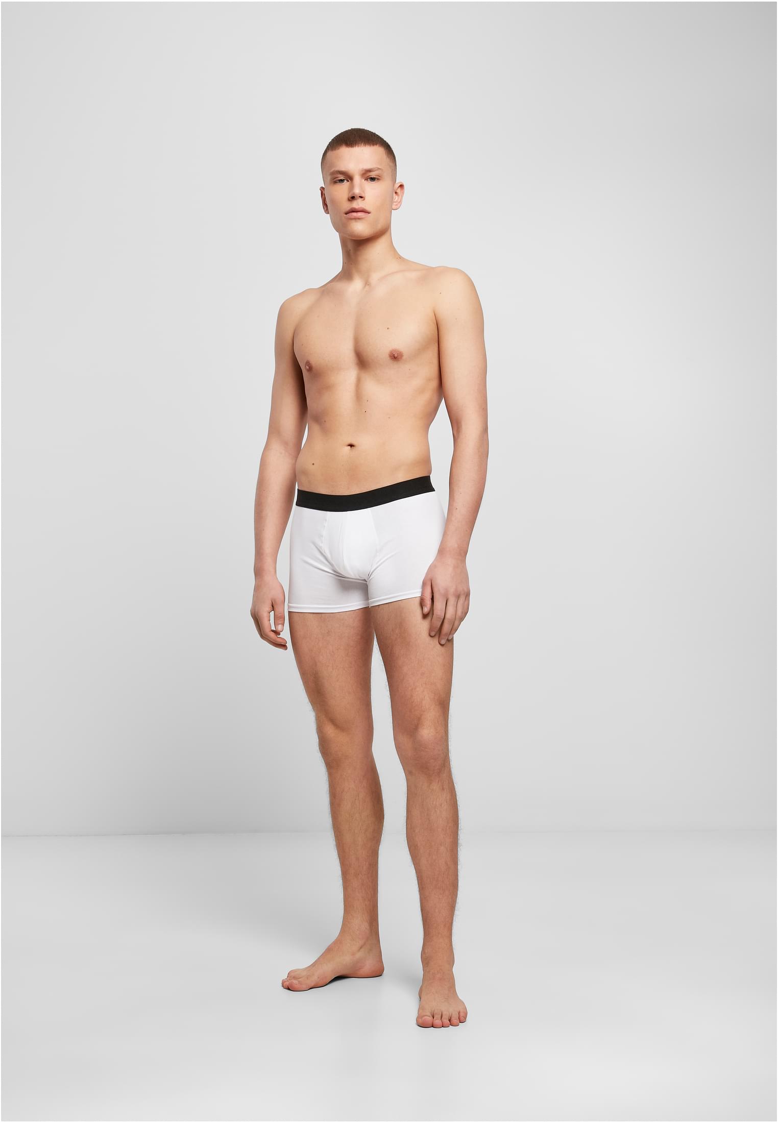 Men Boxer Shorts 2-Pack white | white