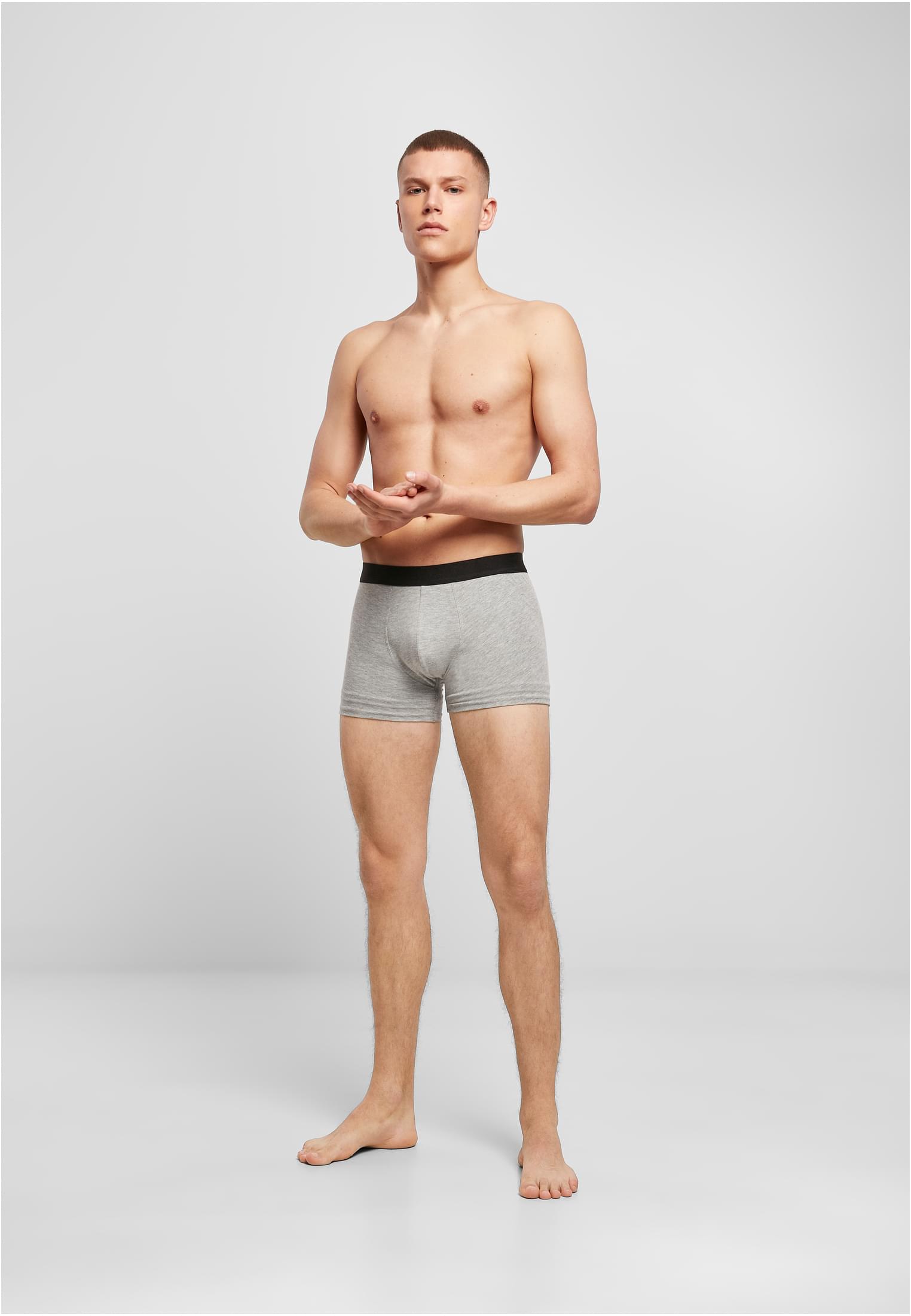 Men Boxer Shorts 2-Pack heather grey | heather grey