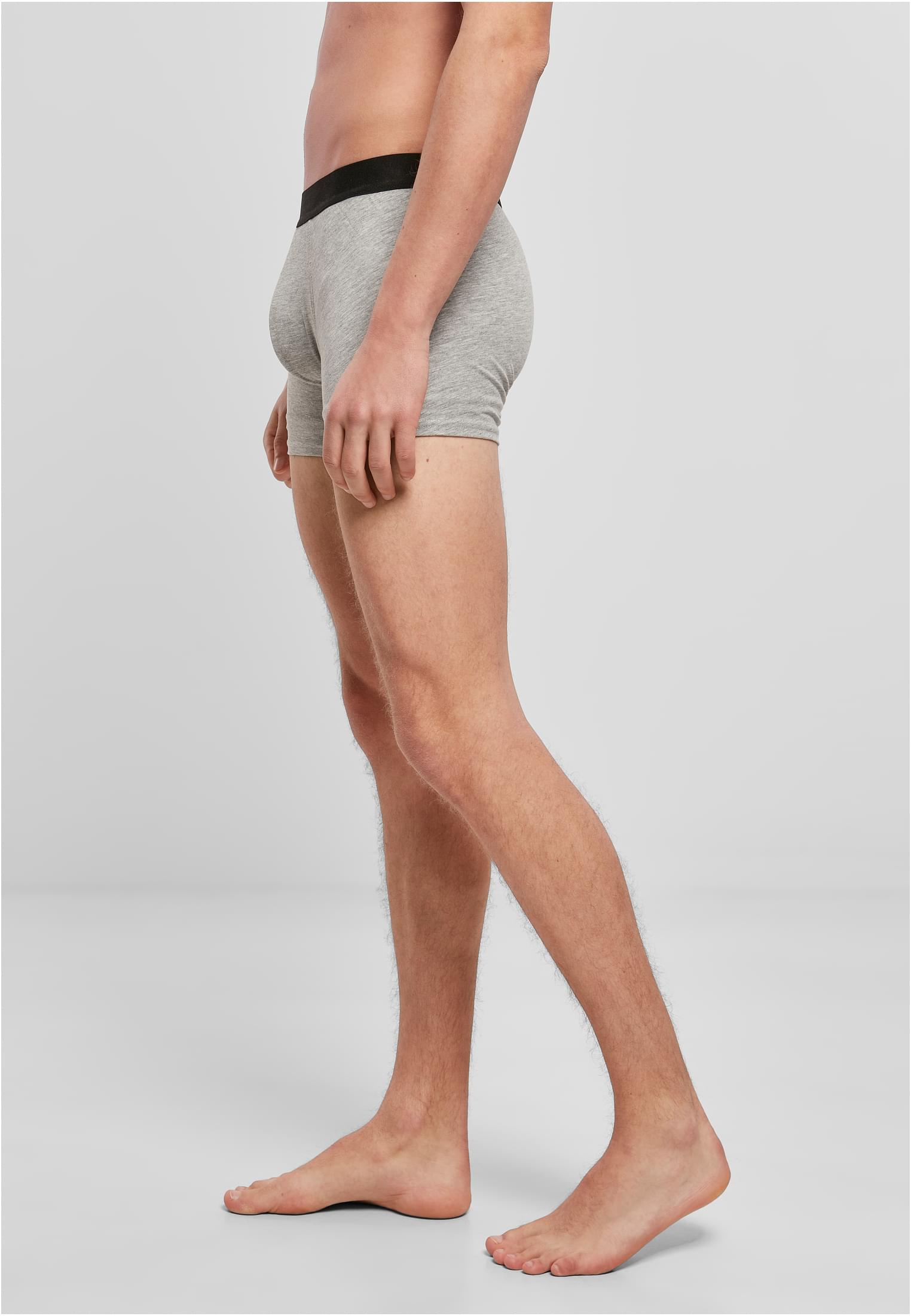 Men Boxer Shorts 2-Pack heather grey | heather grey