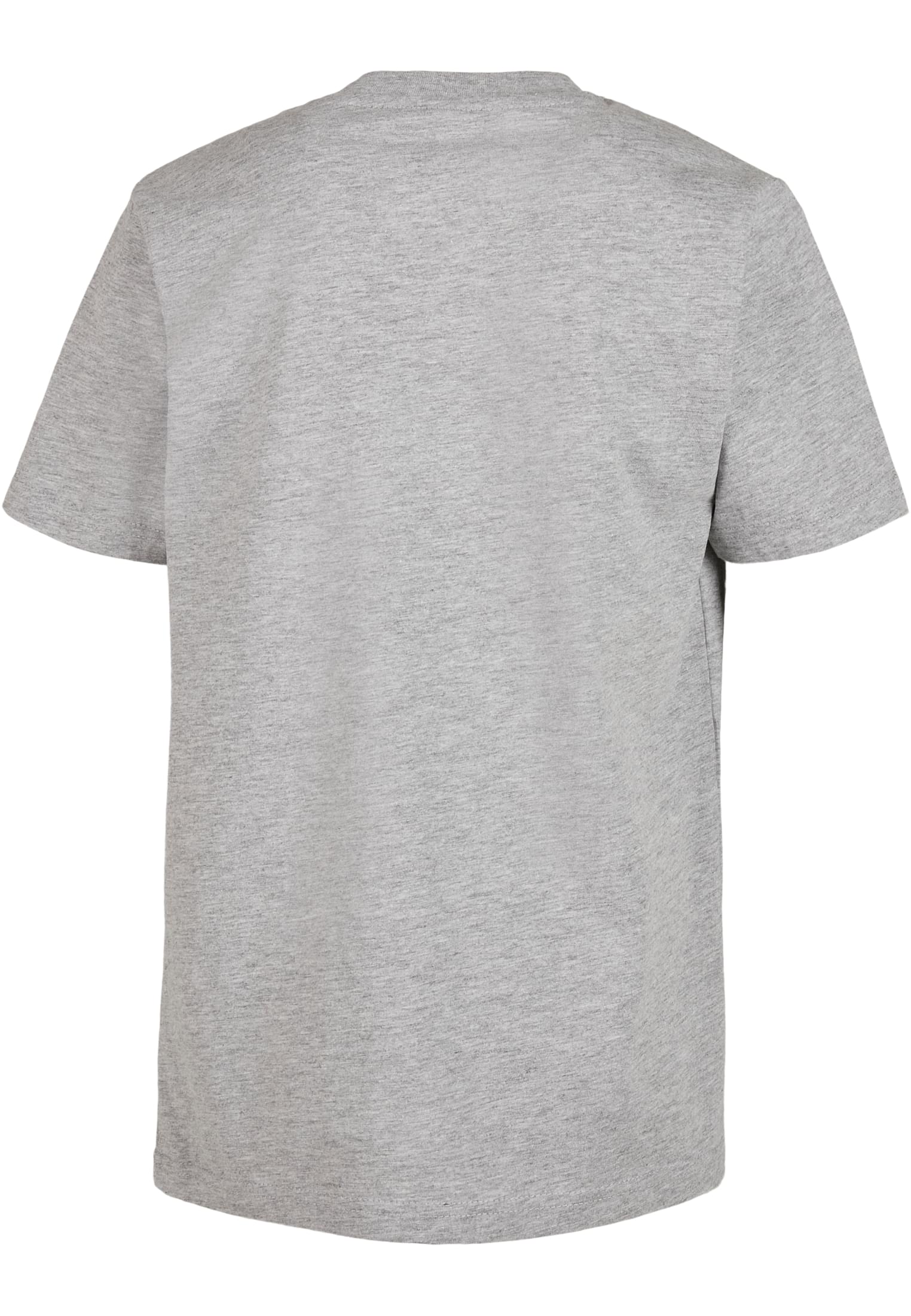Kids Basic Tee 2.0 heather grey | heather grey