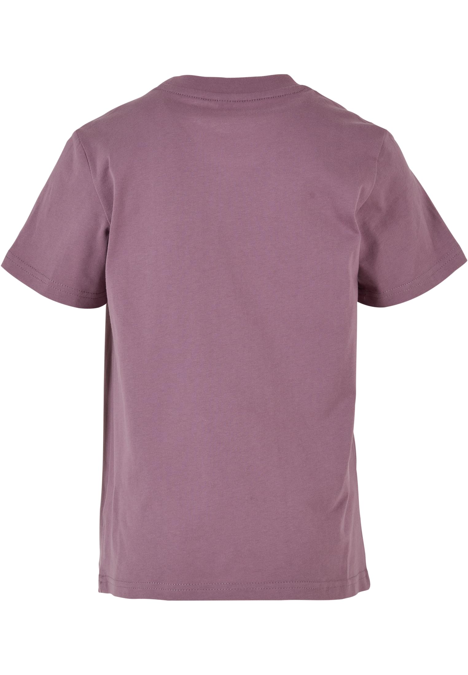 Kids Basic Tee 2.0 grapeviolet | grapeviolet