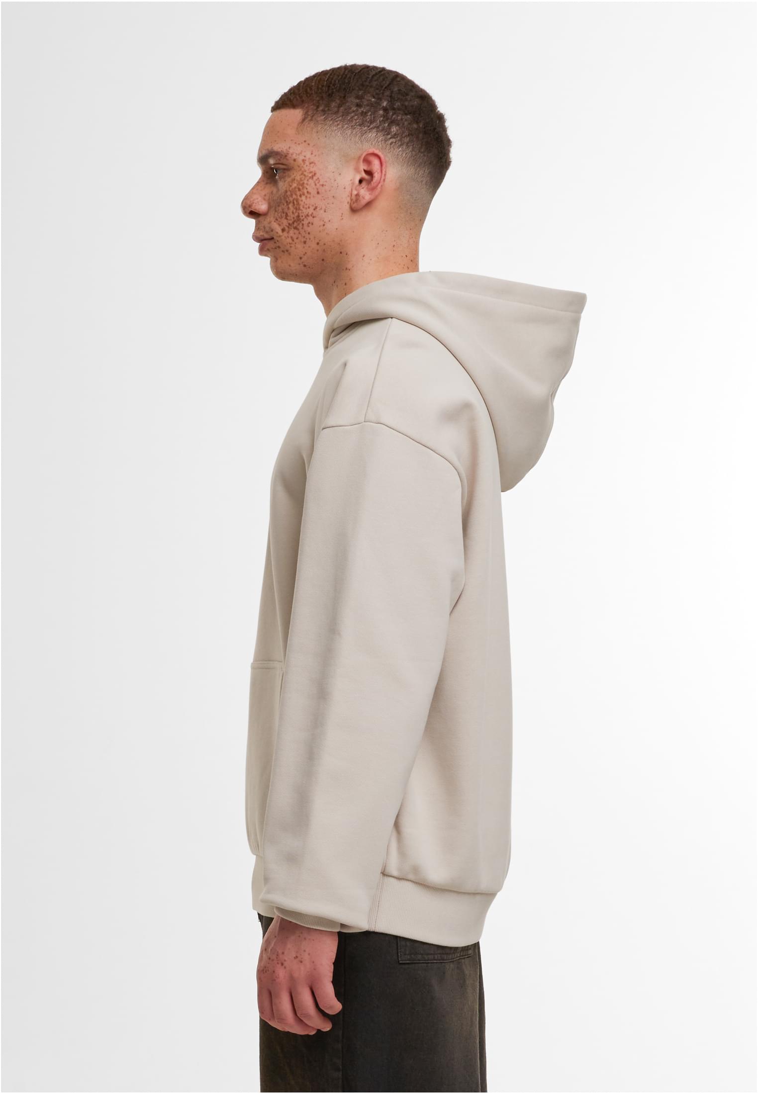 Ultra Heavy Cotton Box Hoody cloud | cloud