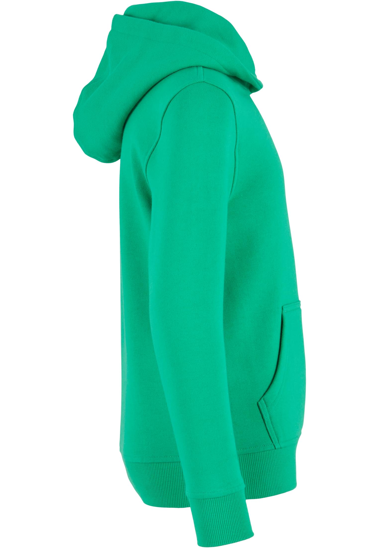 Organic Basic Kids Hoody grassgreen | grassgreen