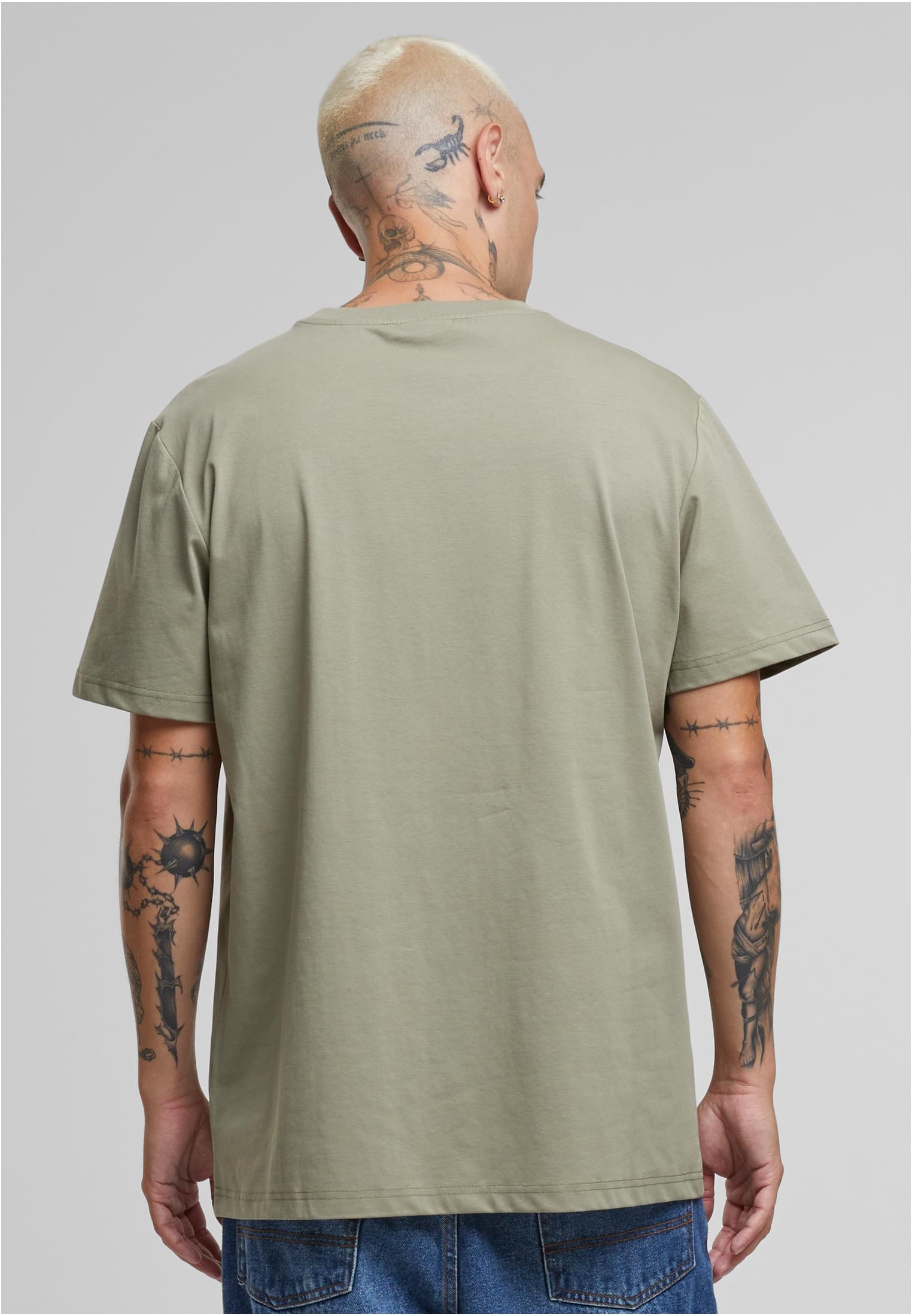 Sorona Regular Tee paleolive | paleolive