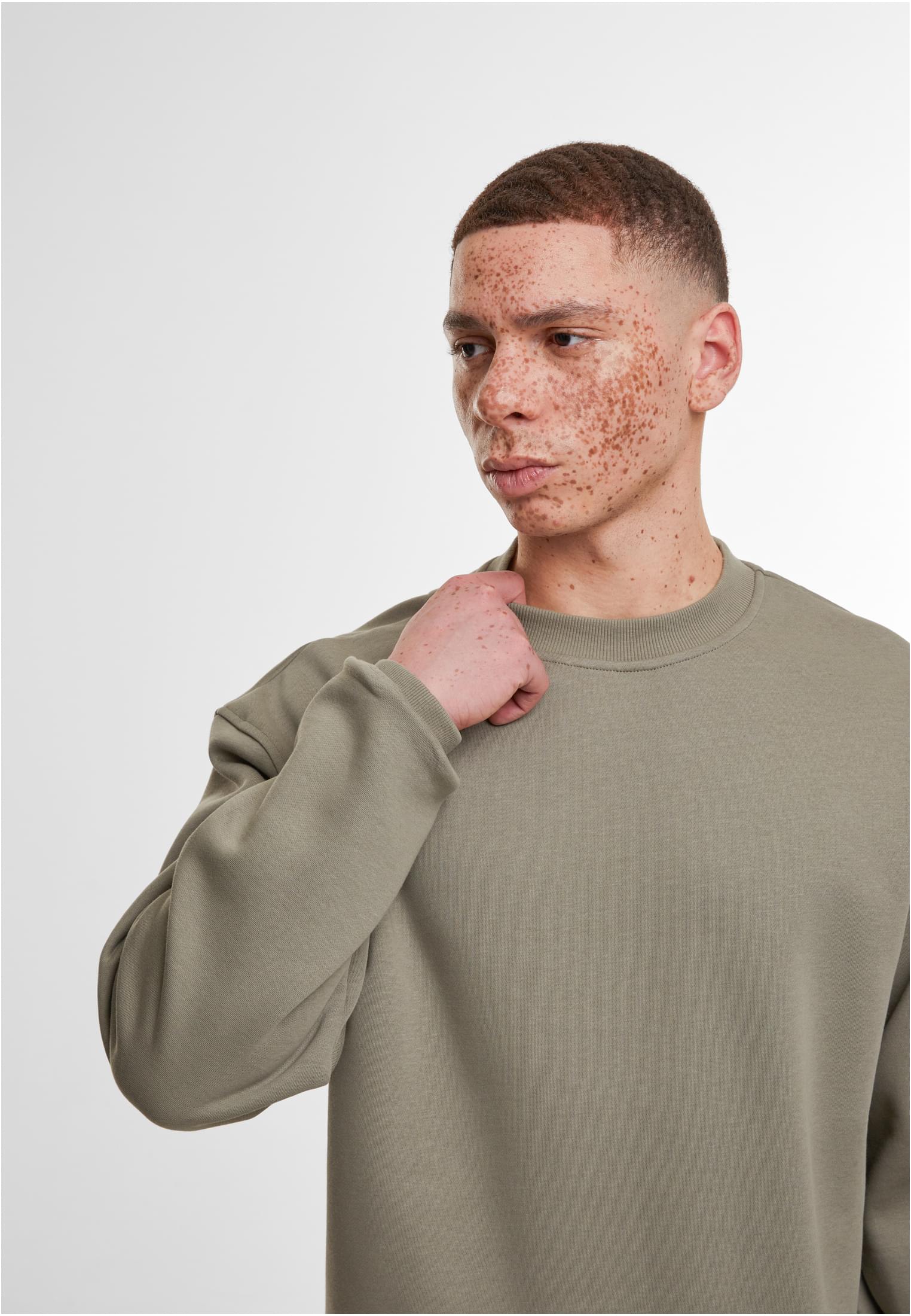 Loose Fit Sweatshirt paleolive | paleolive