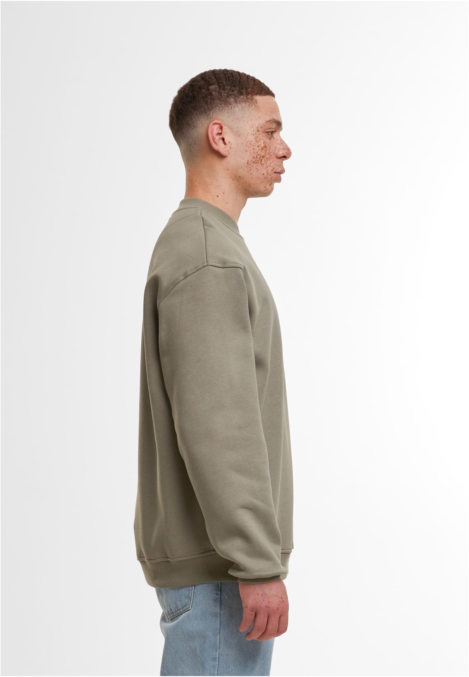 Loose Fit Sweatshirt paleolive | paleolive