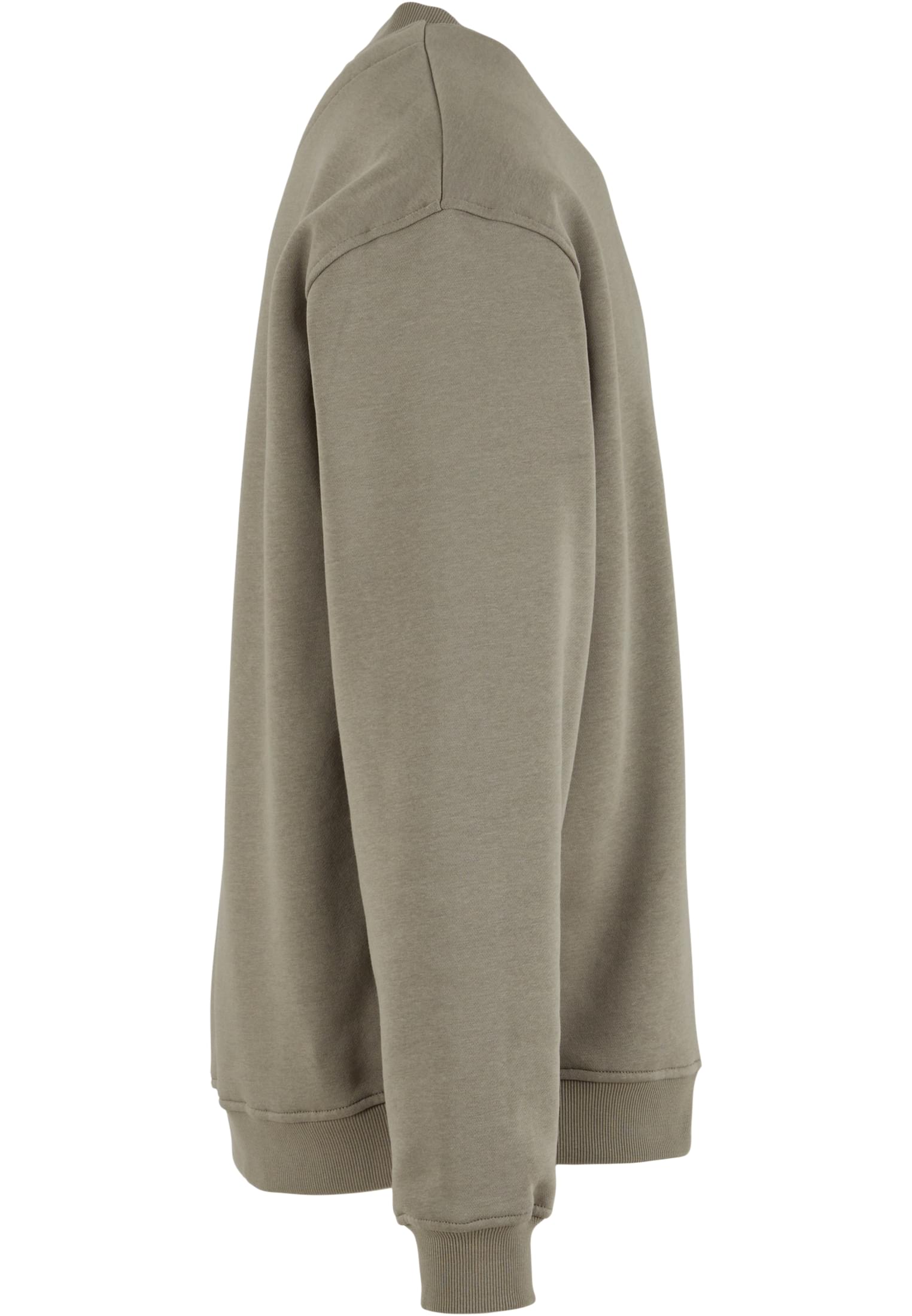 Loose Fit Sweatshirt paleolive | paleolive